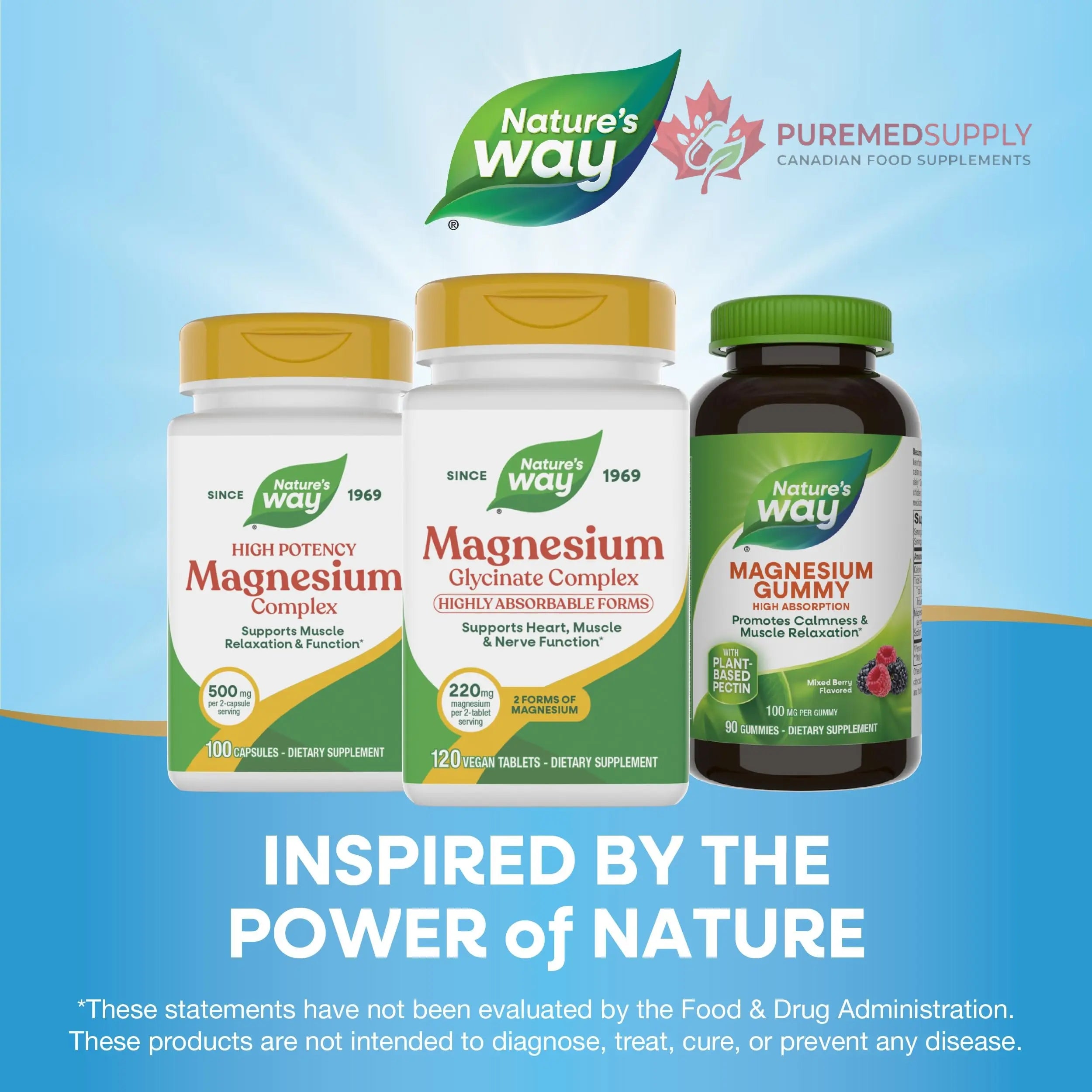 Nature's Way Magnesium Glycinate Complex, Supports Heart, Muscle, Nerve Function*, Highly Absorbable, 220 mg per 2-Tablet Serving, No Gluten, Vegan, 120 Tablets Nature's Way buy supplements canada