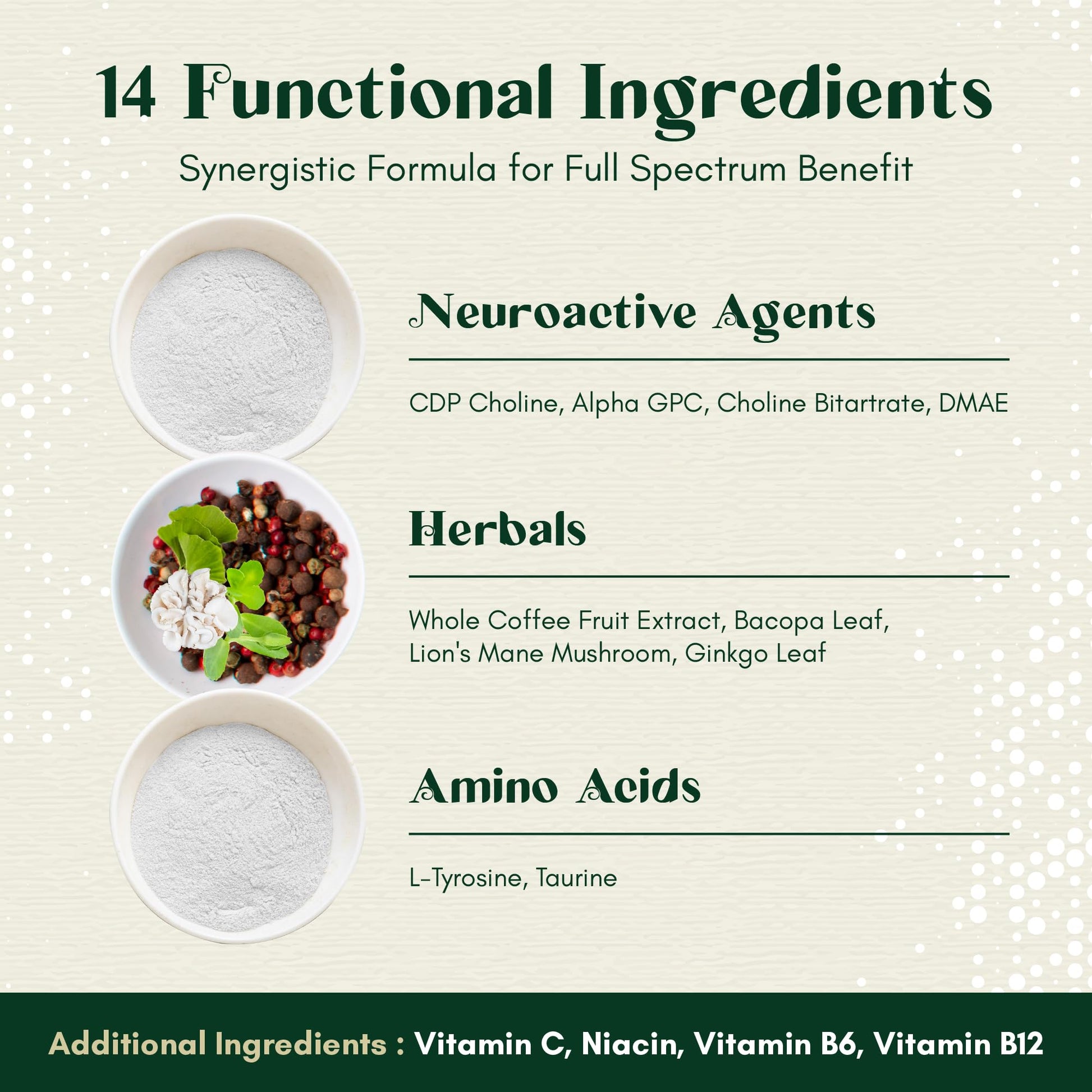 Rootful Mind Alpha Focus Nootropic - Memory and Focus Brain Booster Supplement with Choline, Citicoline, GPC, L-Tyrosine, Bacopa Monnieri, DMAE, Gingko Biloba, Lion's Mane, Niacinamide - 60 Capsules Rootful Mind buy supplements canada
