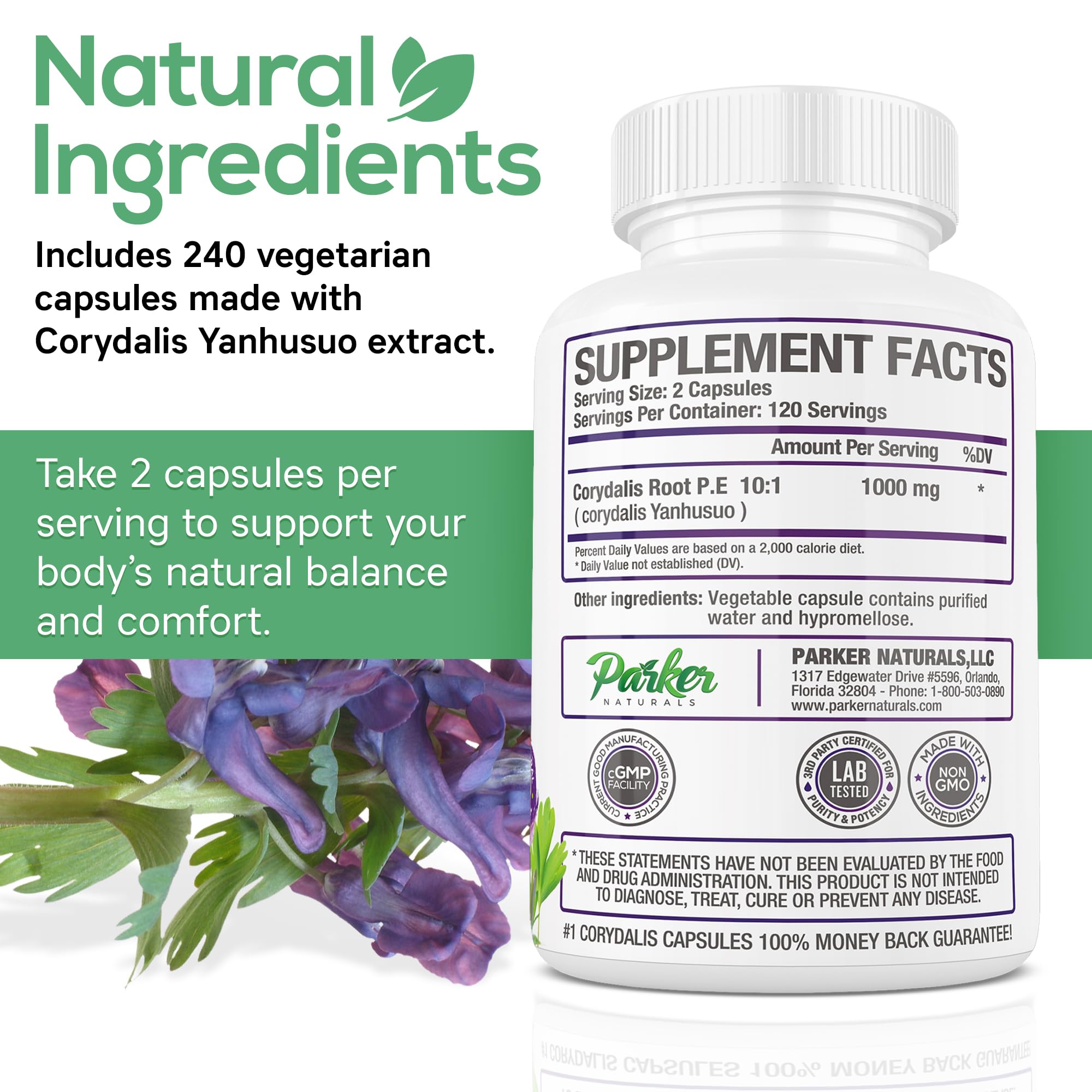 Parker Naturals Pure Corydalis Root Extract Capsule - 1000mg Strength, 10:1 Corydalis Yanhusuo Extract, Natural Relief, Long Lasting, 100% Vegetarian, 120 Servings, 240 Count Parker Naturals buy supplements canada