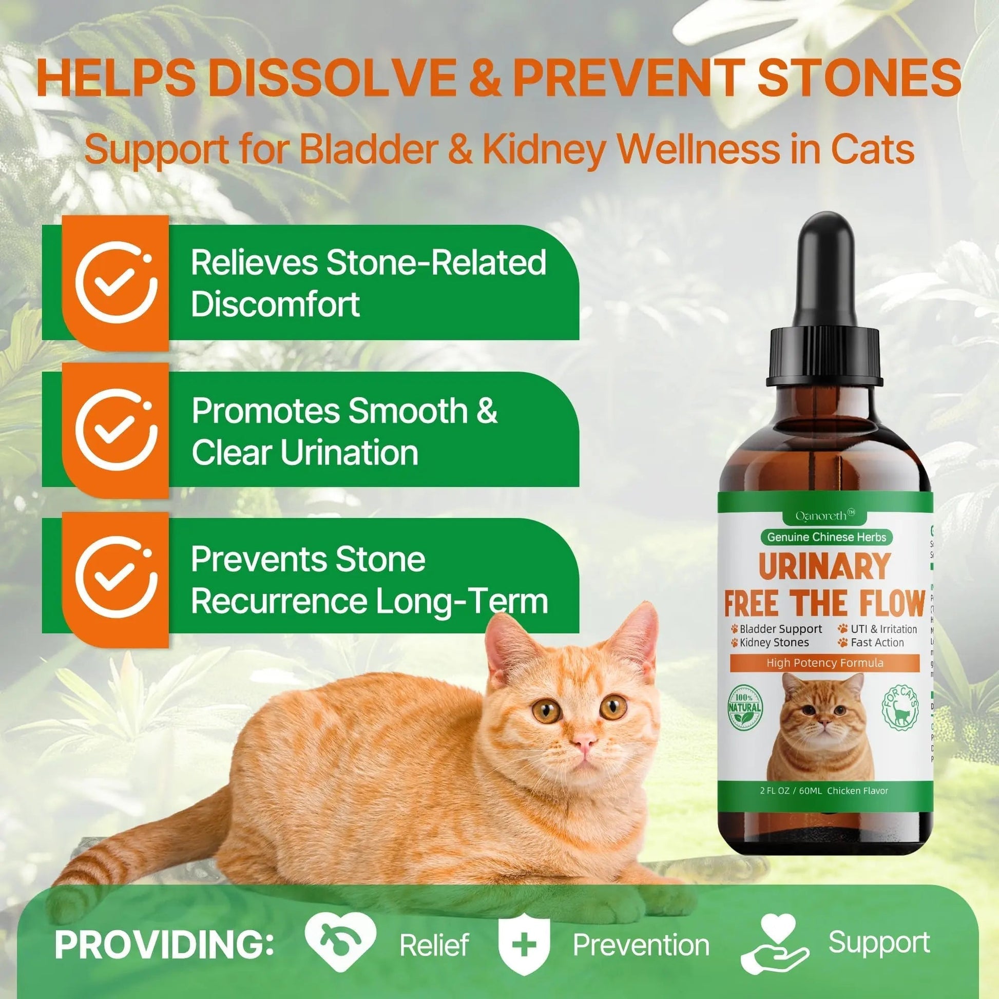 Cat Bladder Remedy for Stones & Crystals, Kidney StonesDissolver forCat- Urinary Free The Flow - Cat Urinary Tract Infection Treatment for Stones, Herbal CatUTI Remedy for Stone Relief & Prevention Qanoreth buy supplements canada