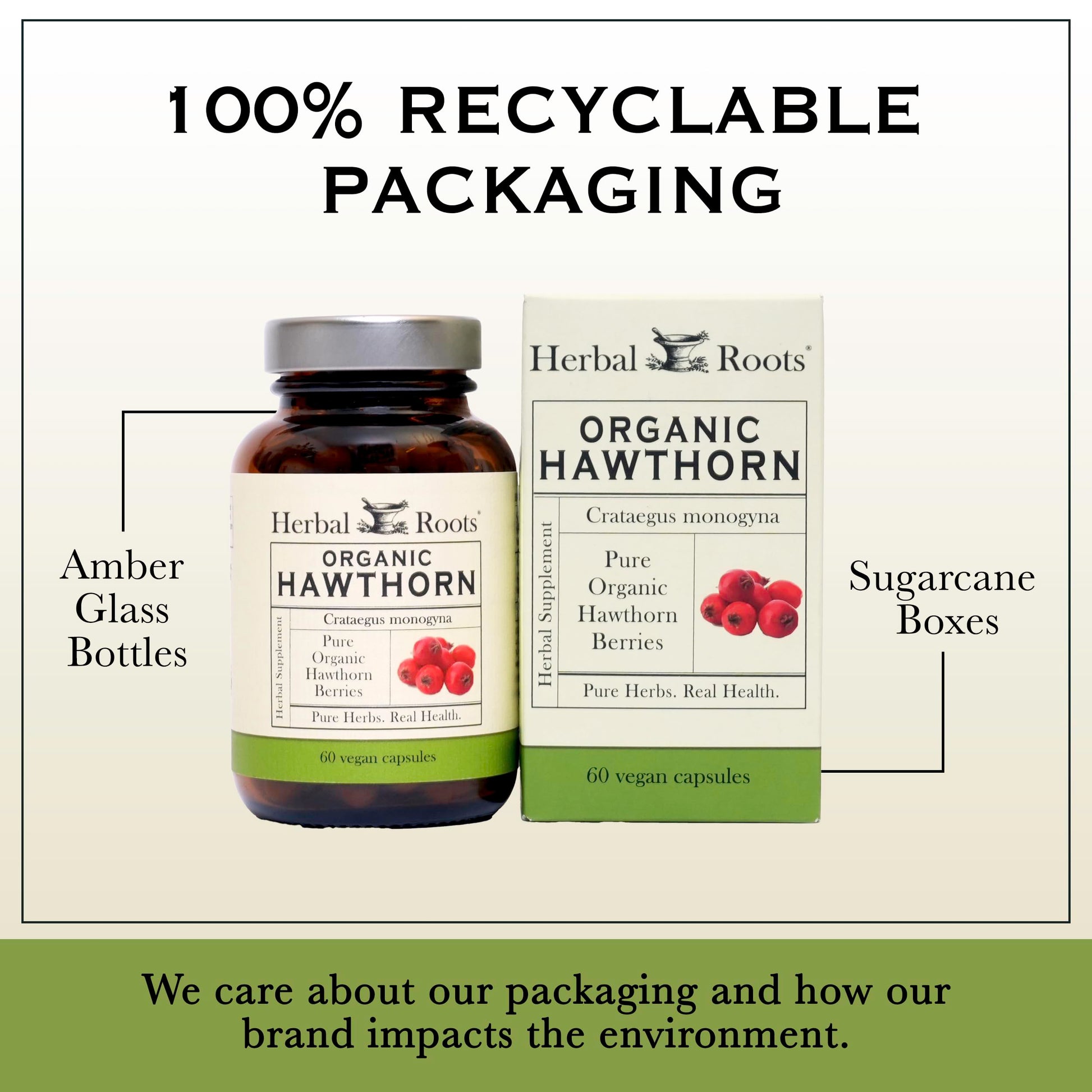 Herbal Roots Organic Hawthorn Berry Capsules | Extra Strength 1,200mg per Serving Herbal Roots buy supplements canada