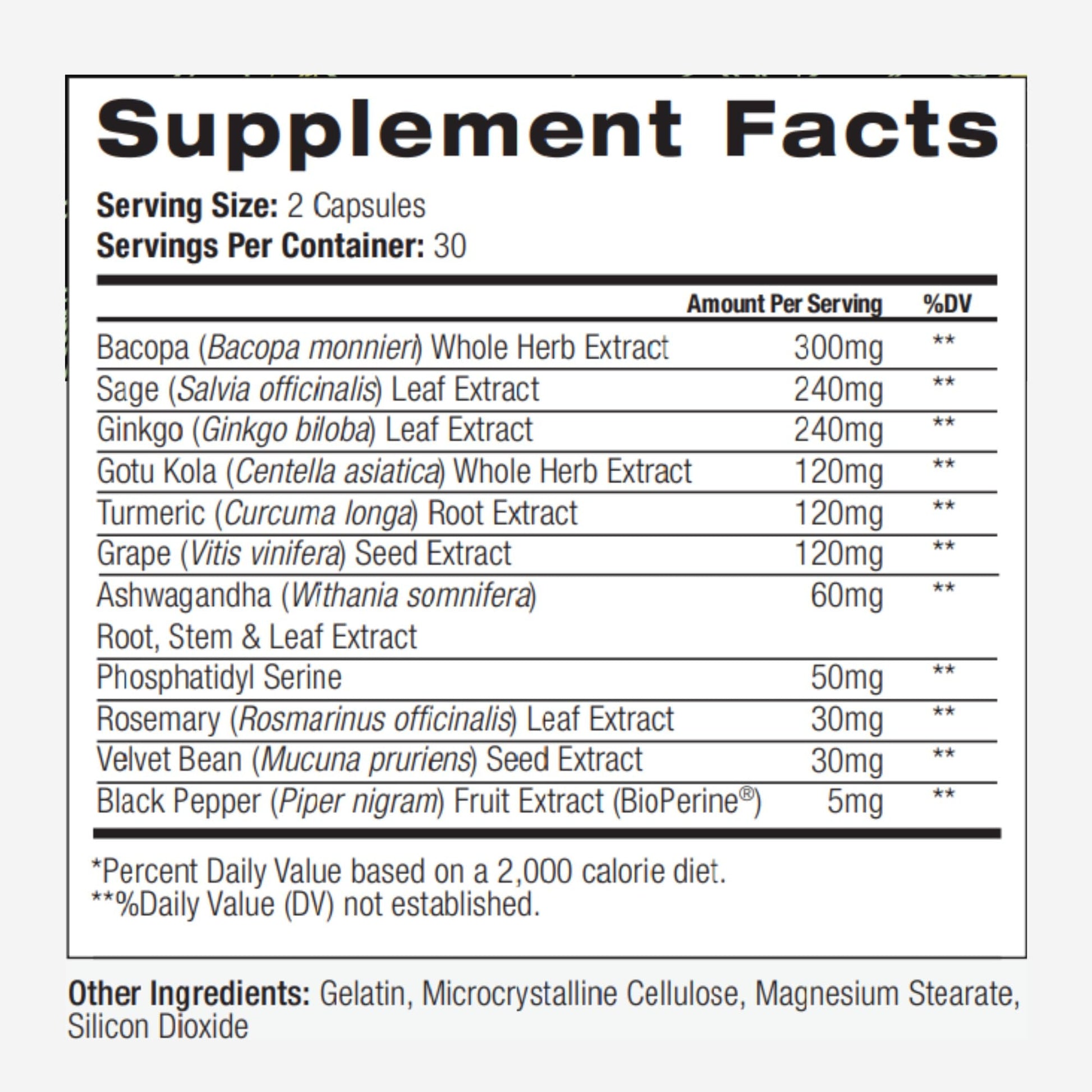 PALO Focus Brain Booster Natural Supplement Nootropic for Memory, Focus, Learning, Reall, Attention and Cognition - Ginkgo Biloba, Bacopa, Gotu Kola, Ashwagandha, Mucuna 60 Capsules PALO buy supplements canada