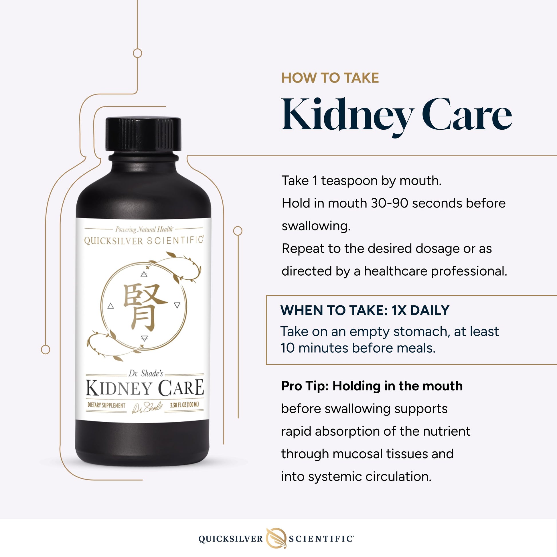 Quicksilver Scientific Kidney Care - Kidney Cleanse & Lymphatic Drainage Supplements - Astragaloside IV Extract, Zhu Ling, Goldenrod, Ferulic Acid, He Shou Wu & Dandelion Leaf (3.38oz / 100ml) Quicksilver Scientific buy supplements canada