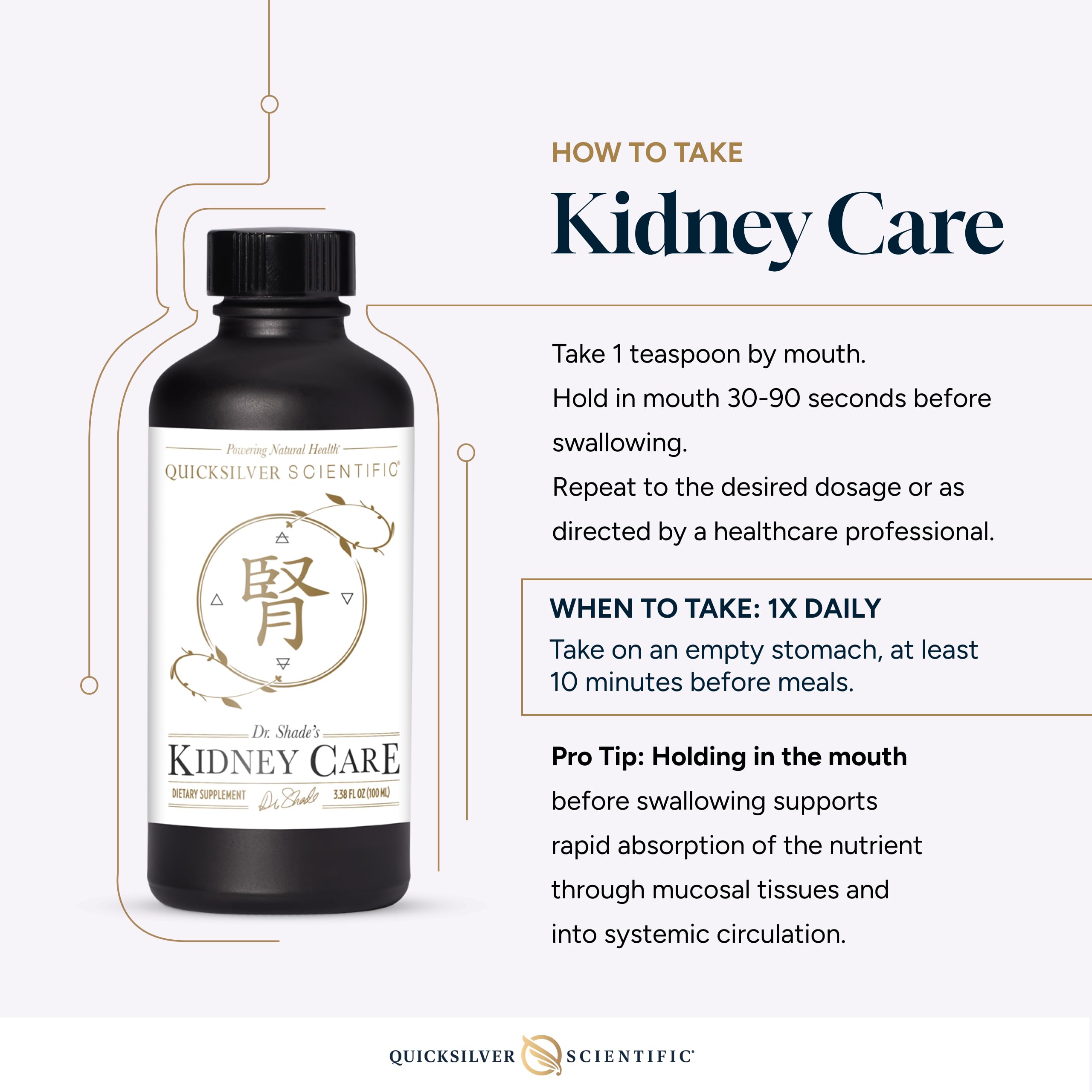 Quicksilver Scientific Kidney Care - Kidney Cleanse & Lymphatic Drainage Supplements - Astragaloside IV Extract, Zhu Ling, Goldenrod, Ferulic Acid, He Shou Wu & Dandelion Leaf (3.38oz / 100ml) Quicksilver Scientific buy supplements canada