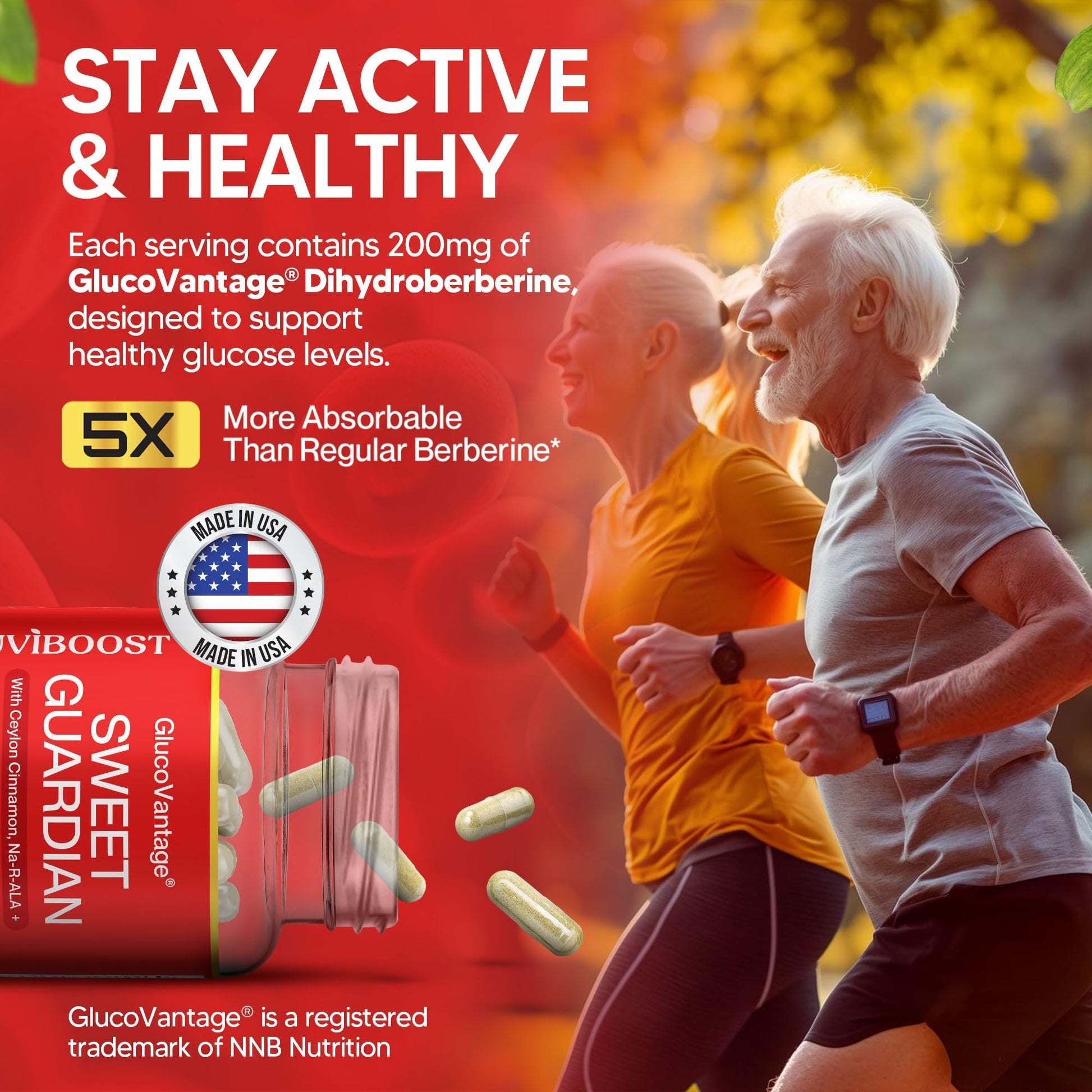 NUVIBOOST Super Dihydroberberine (GlucoVantage®) 200mg with Ceylon Cinnamon, Alpha Lipoic Acid, Selenium, Gymnema Sylvestre, Benfotiamine and Others for Overall Immunity. NUVIBOOST buy supplements canada