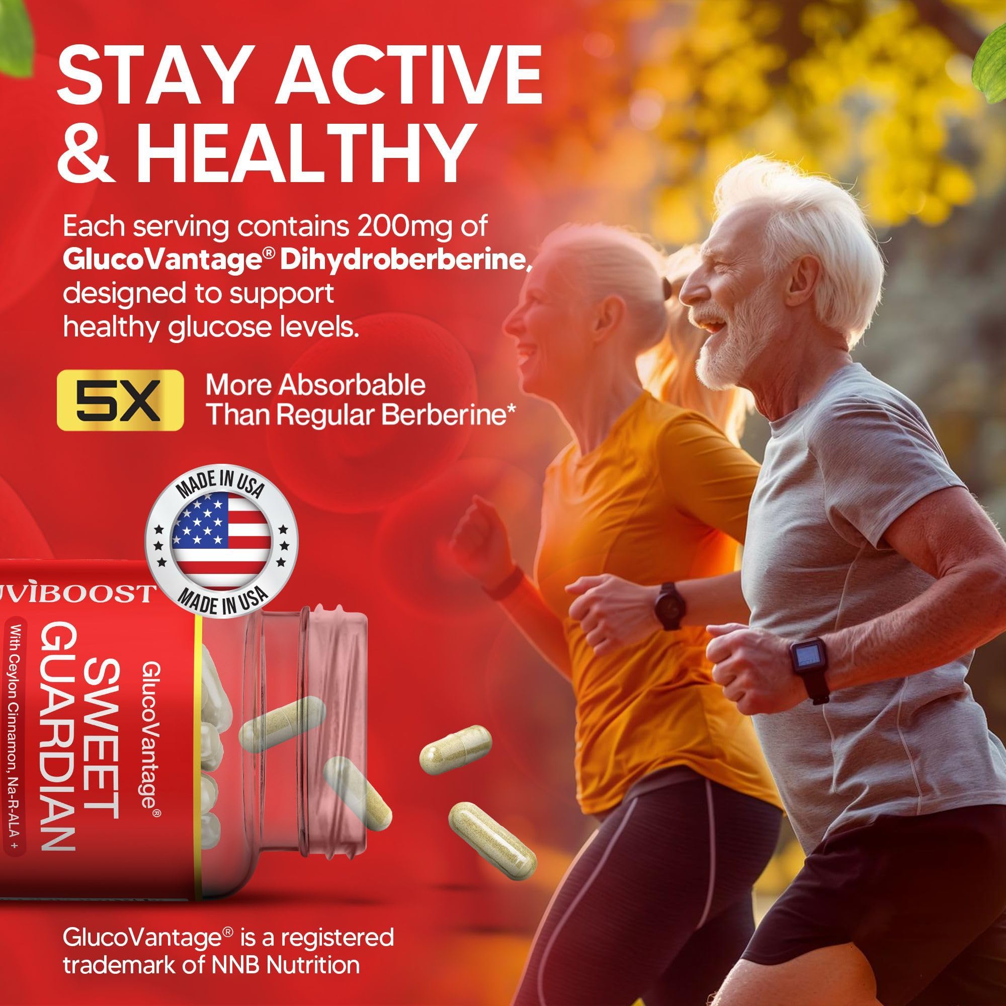 NUVIBOOST Super Dihydroberberine (GlucoVantage®) 200mg with Ceylon Cinnamon, Alpha Lipoic Acid, Selenium, Gymnema Sylvestre, Benfotiamine and Others for Overall Immunity. NUVIBOOST buy supplements canada