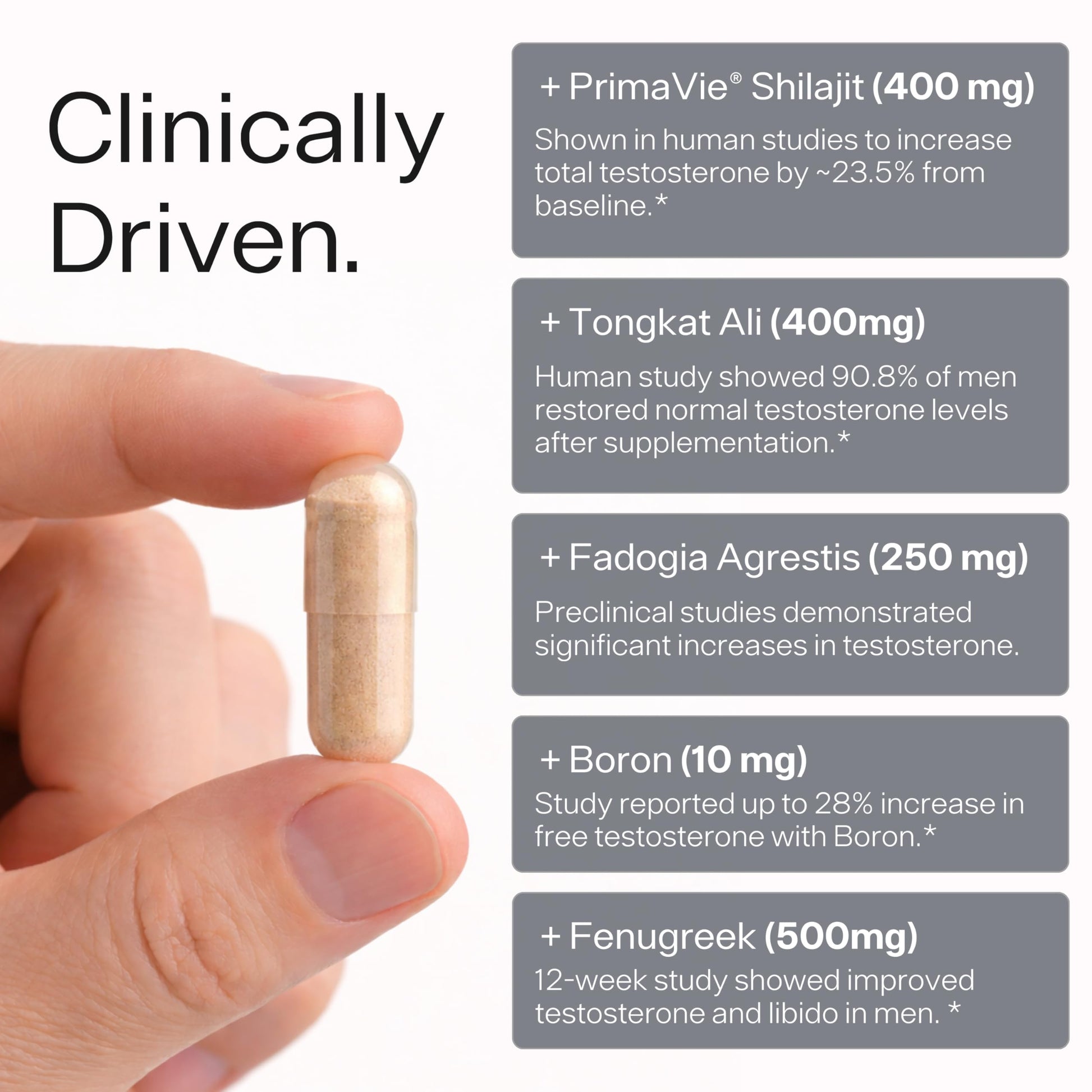 Testosterone Booster for Men - Sheer Alpha T-Booster - Clinically Backed Dose, Strongest Formula - Made in USA - Premium Blend of Fadogia Agrestis Tongkat Ali and Shilajit. 30 Servings Sheer Strength Labs buy supplements canada