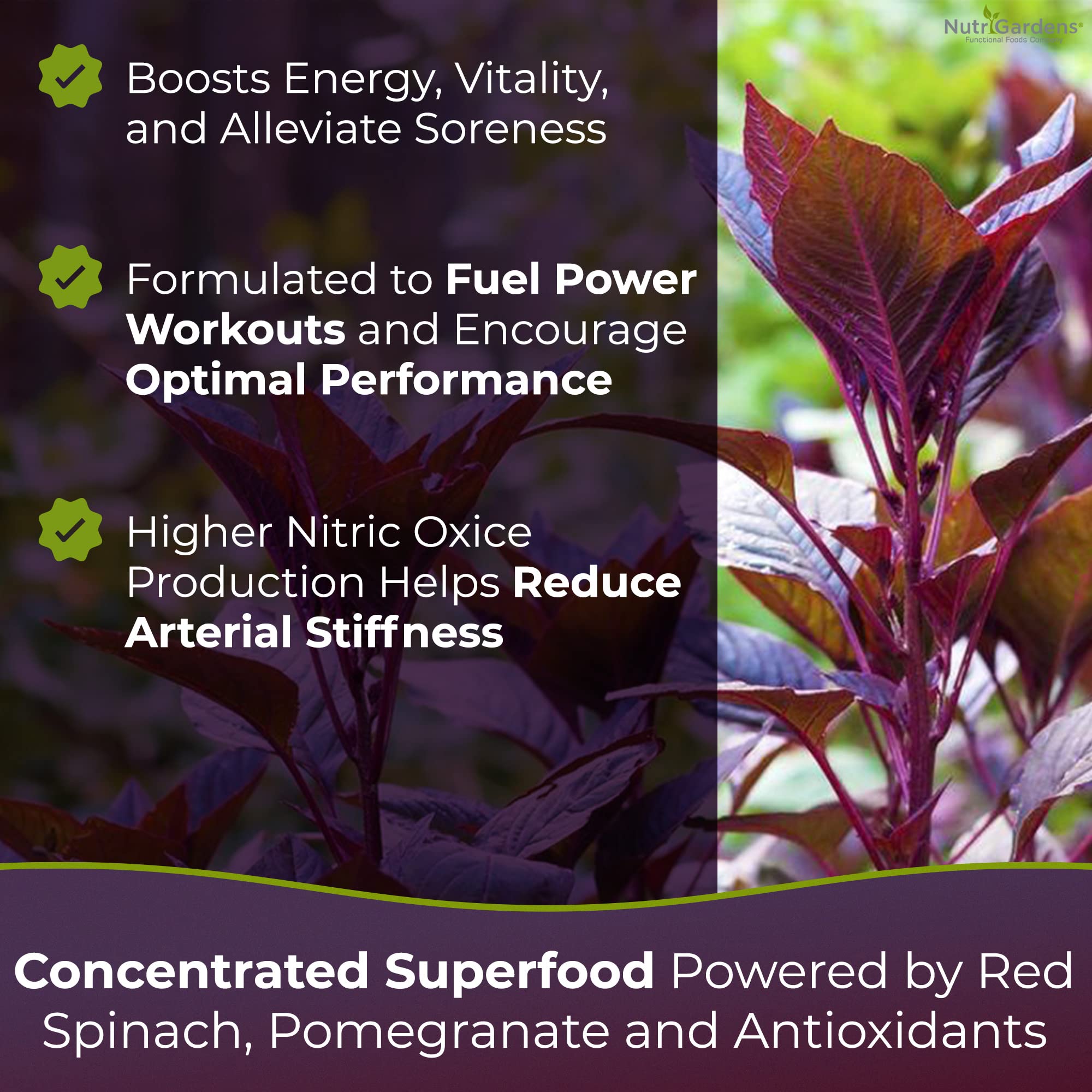 Nutrigardens Spin Boost Nitric Oxide Red Spinach Nitrate Pre-Workout Powder Concentrated Nutrigardens buy supplements canada