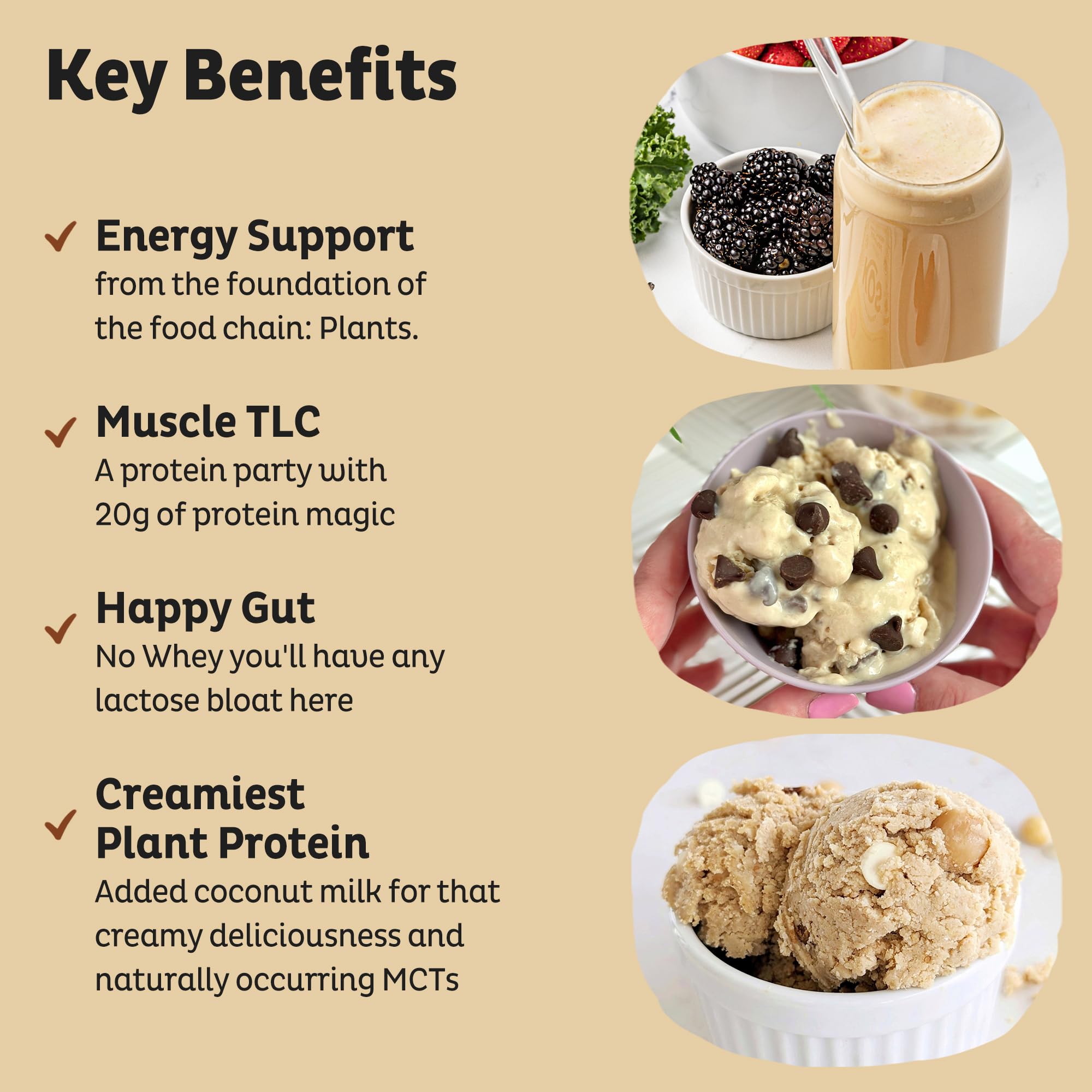 KOS Vegan Protein Powder Erythritol Free, Vanilla USDA Organic - Pea Protein Blend, Plant Based Superfood Rich in Vitamins & Minerals - Keto, Dairy Free - Meal Replacement for Women & Men, 28 Servings KOS buy supplements canada