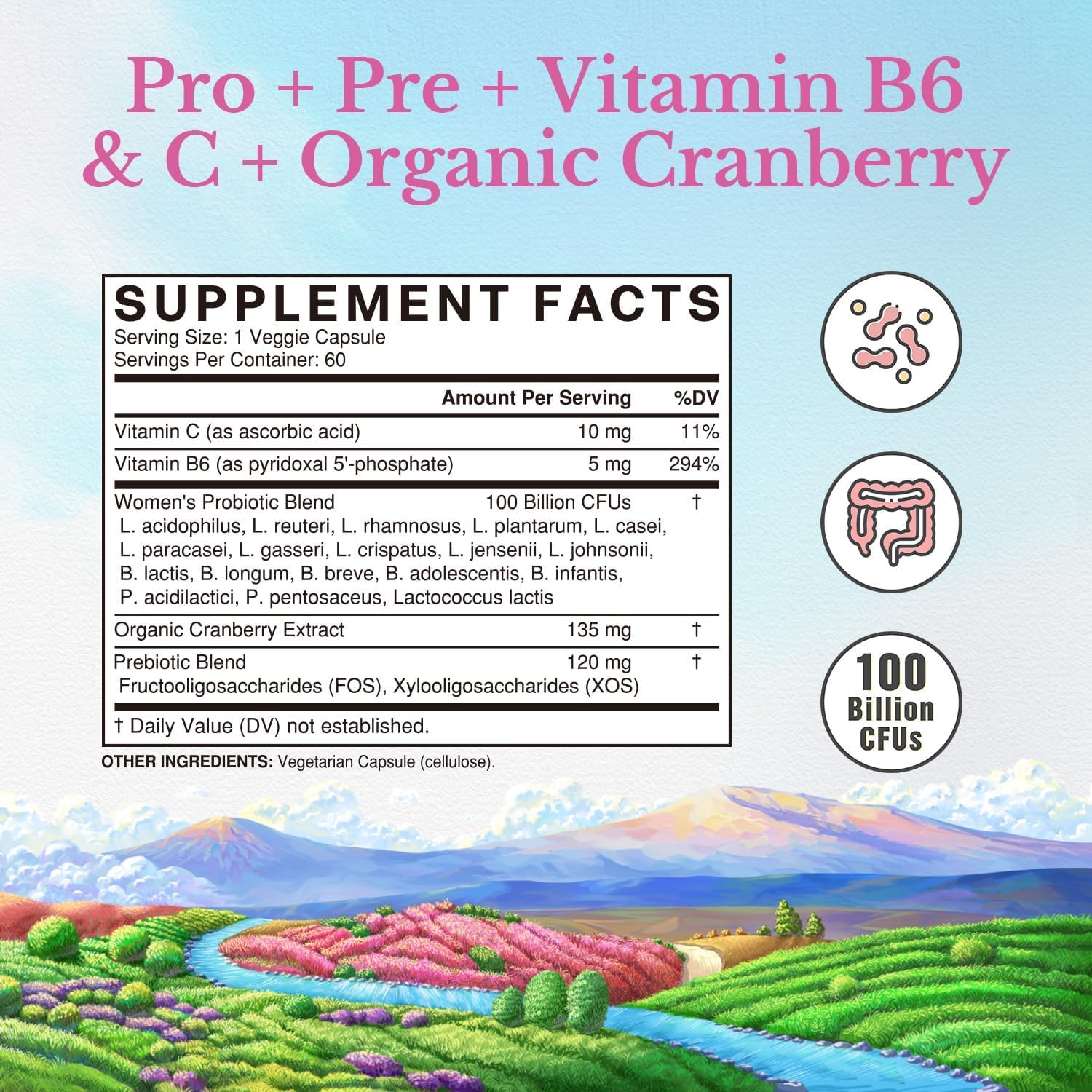 Vitalitown Women's Probiotics | 100 Billion CFUs 18 Strains | Prebiotics, VC & B6, Cranberry | Shelf Stable | Vaginal, Urinary Vitalitown buy supplements canada