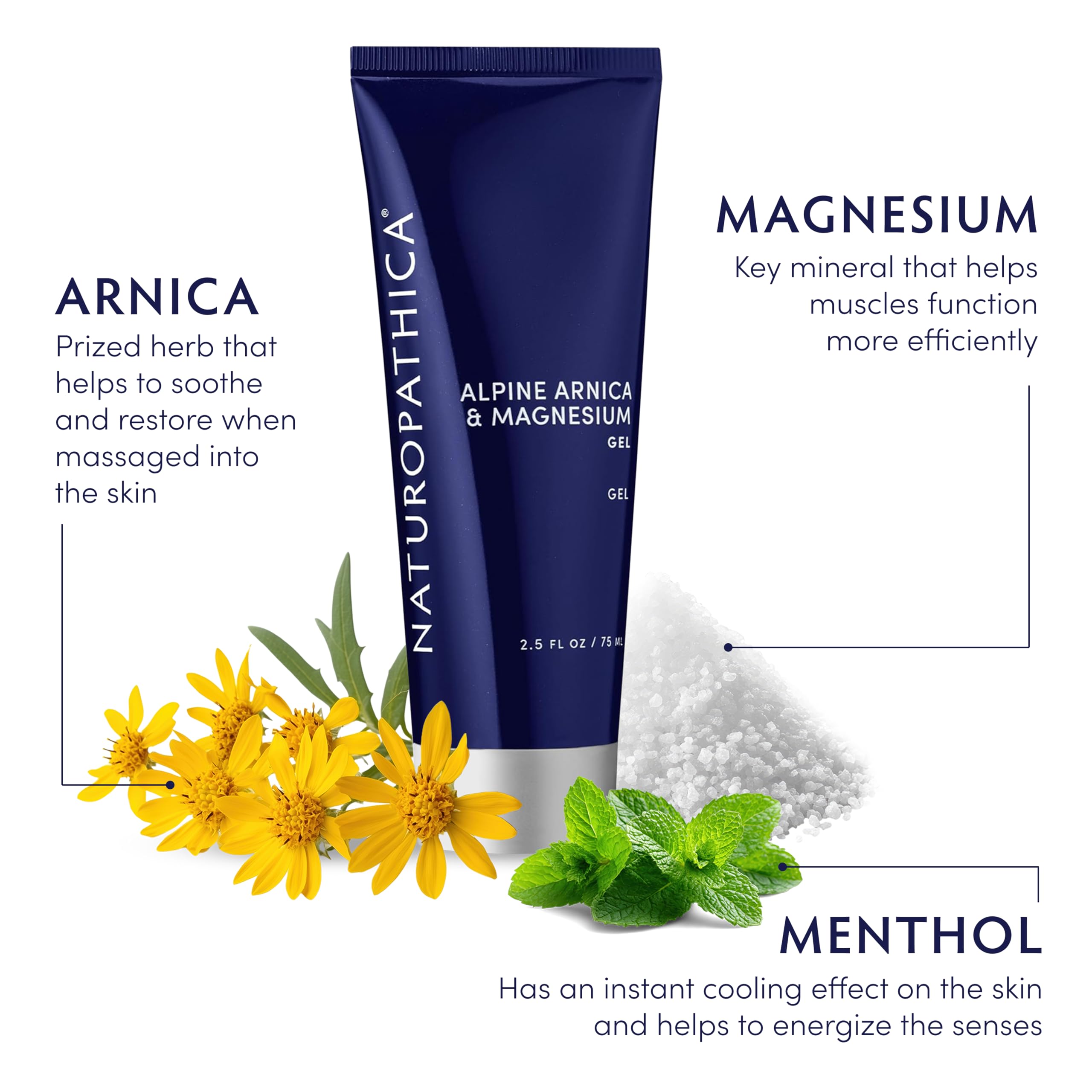 Naturopathica Alpine Arnica & Magnesium Gel, Cooling Massage Gel with Menthol for Muscle Discomfort and Relaxation, 2.5 fl oz Naturopathica buy supplements canada