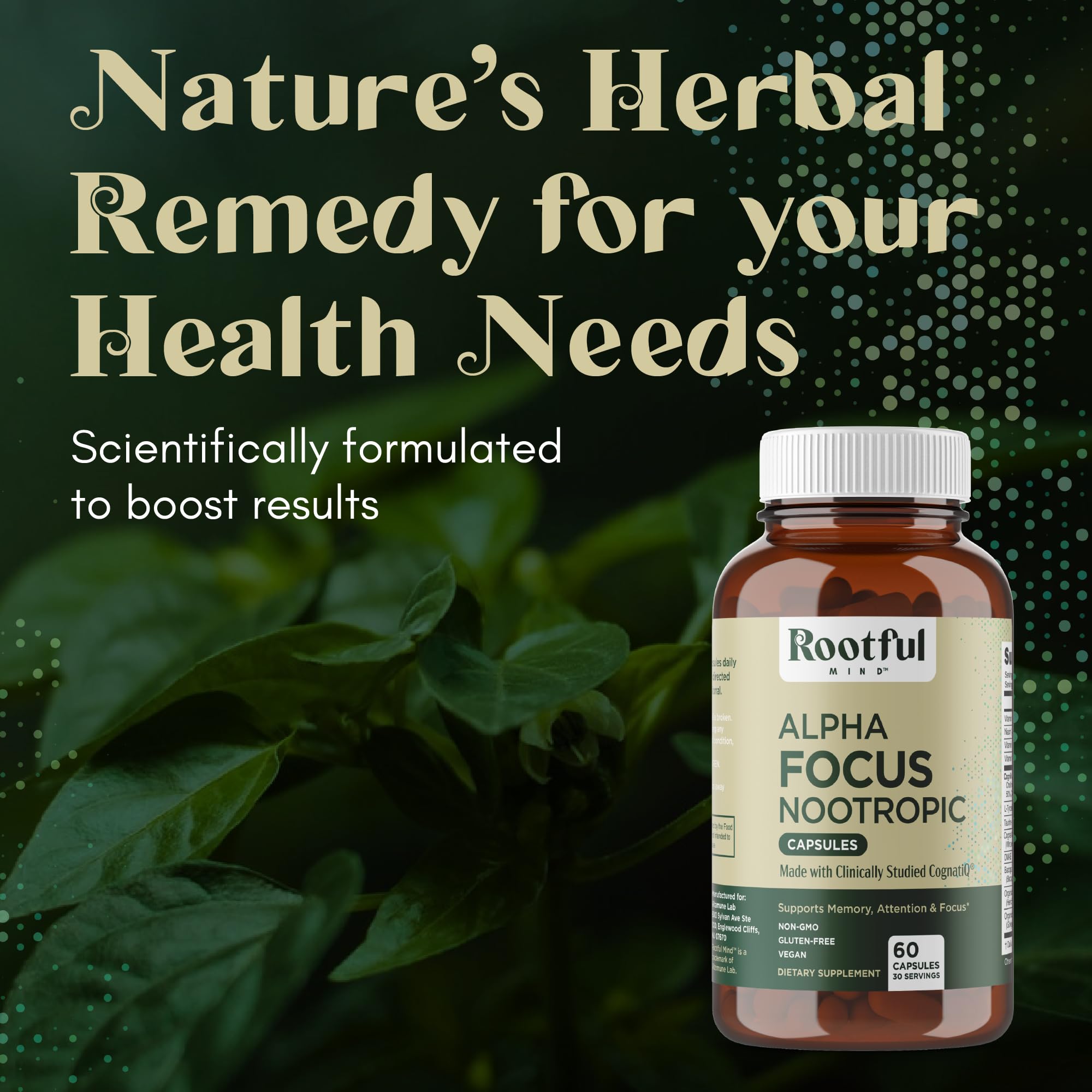 Rootful Mind Alpha Focus Nootropic - Memory and Focus Brain Booster Supplement with Choline, Citicoline, GPC, L-Tyrosine, Bacopa Monnieri, DMAE, Gingko Biloba, Lion's Mane, Niacinamide - 60 Capsules Rootful Mind buy supplements canada