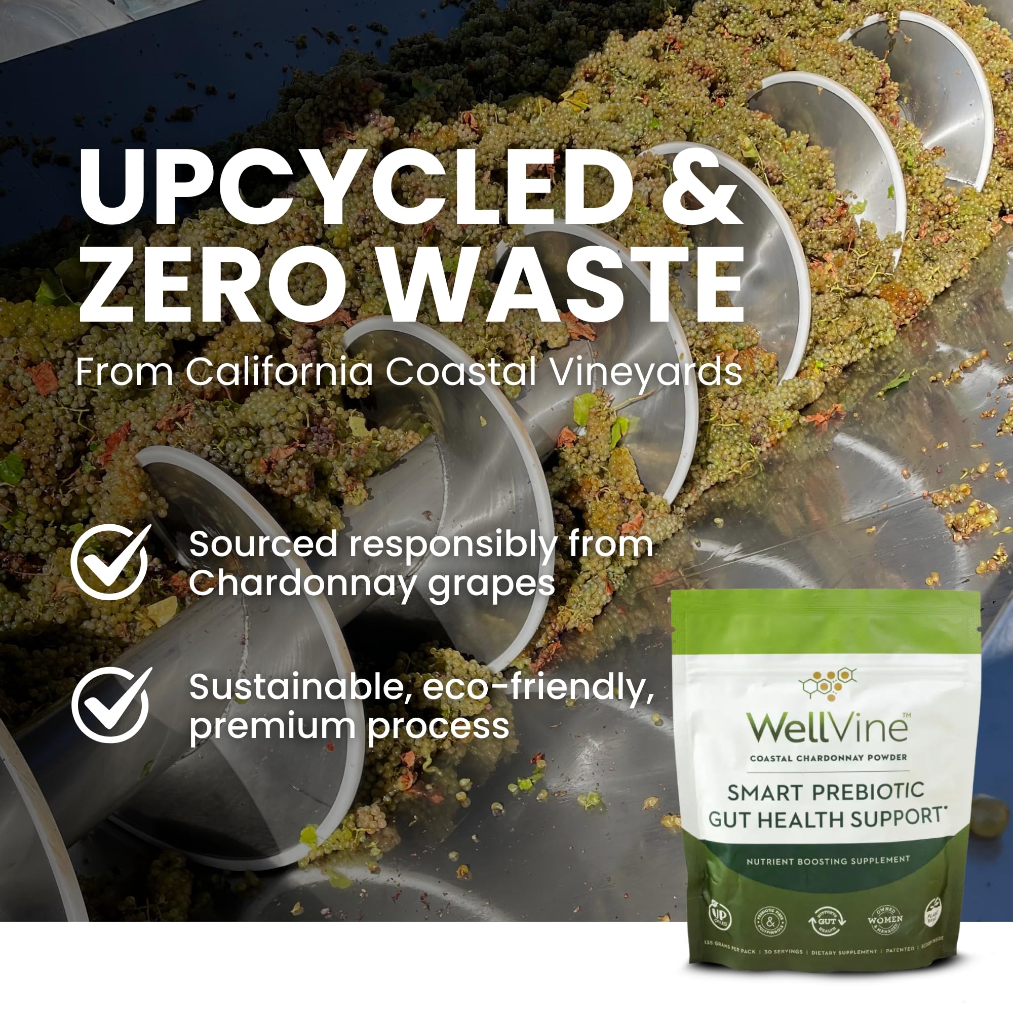 WellVine Premium Smart Prebiotic Gut Health Supplement Powder for Men & Women | Digestive Support & Gut Health With 100% Upcycled Chardonnay Grapes | Plant-Based WellVine buy supplements canada