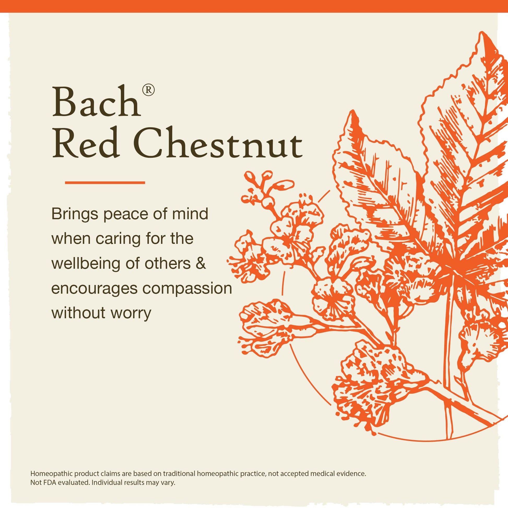 Bach Original Flower Remedies, Red Chestnut for Peace of Mind (Non-Alcohol Formula) Bach buy supplements canada