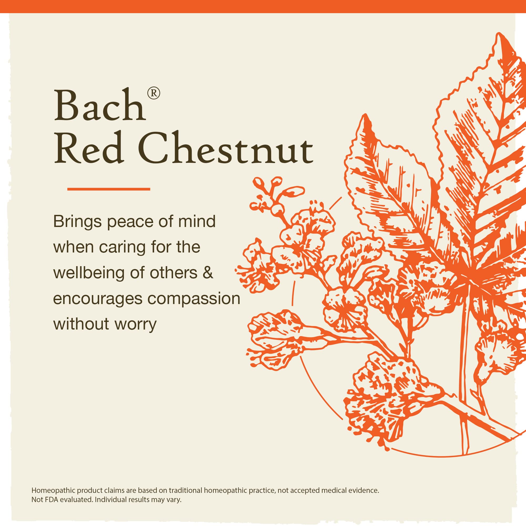 Bach Original Flower Remedies, Red Chestnut for Peace of Mind (Non-Alcohol Formula) Bach buy supplements canada