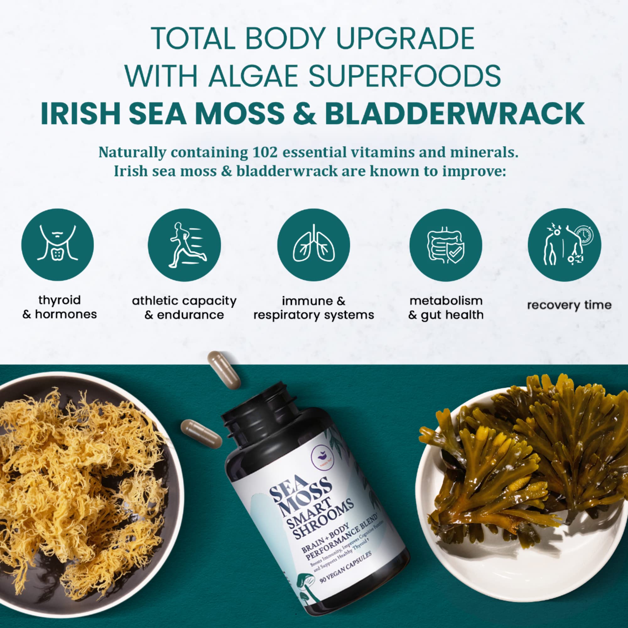 HAPPY FOX Irish Sea Moss Capsules & Mushroom Complex - Organic Seamoss with Adaptogens for Brain Health, 1500mg, 90 Vegan Capsules, Organic Mushroom Supplement HAPPY FOX buy supplements canada