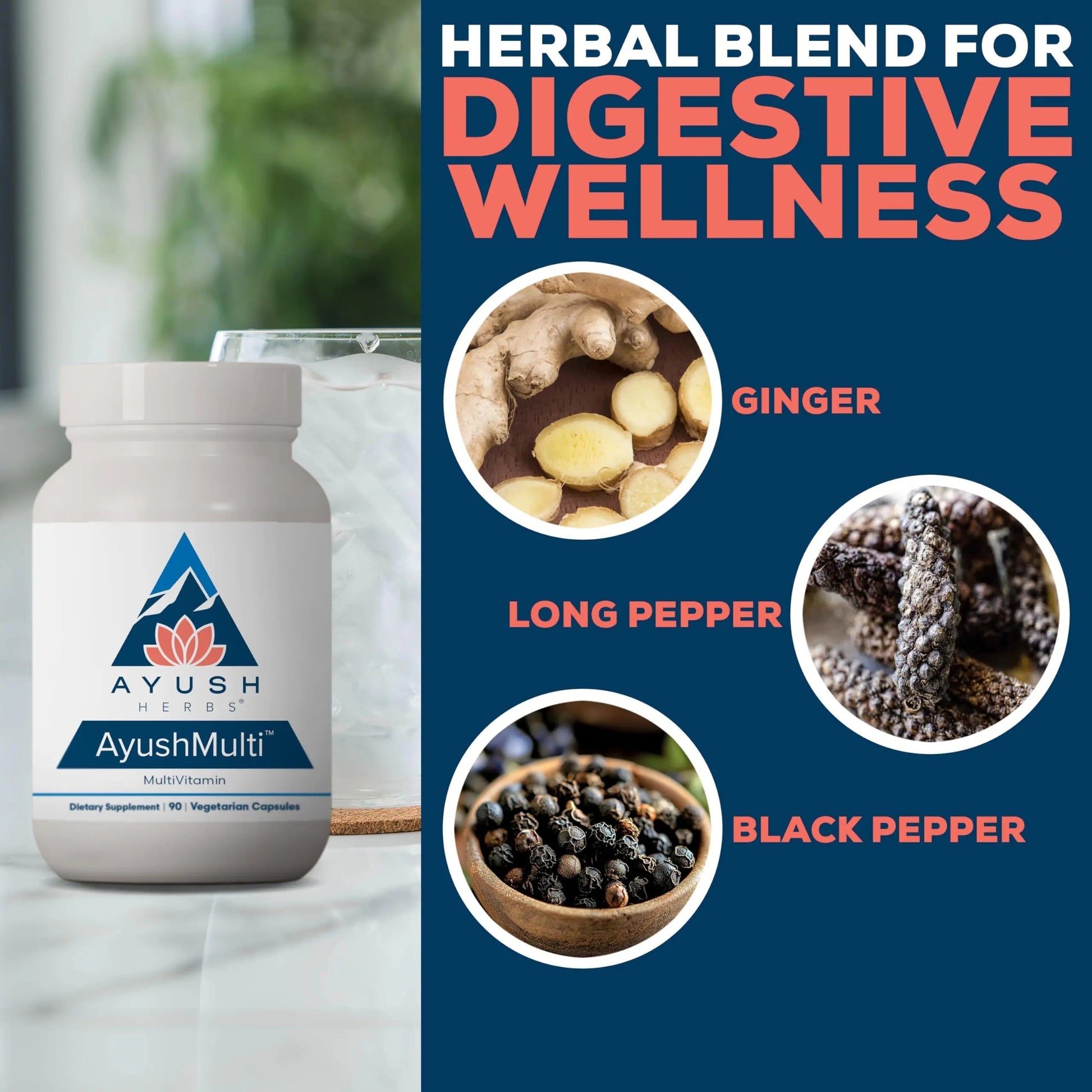 Ayush Herbs Ayush Multi - Multi Vitamin Capsules, Multivitamin with Iodine & Zinc for Men & Women Ayush Herbs buy supplements canada