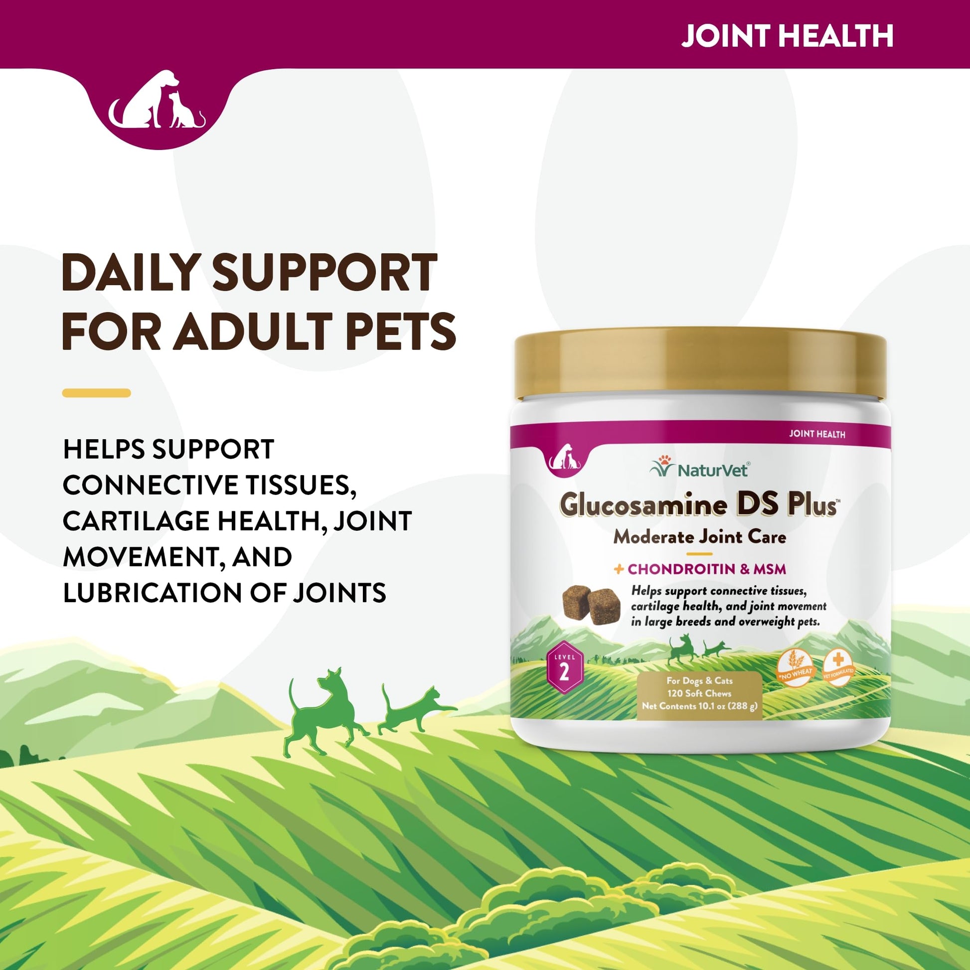 NaturVet – Glucosamine DS Plus - Level 2 Moderate Care – Supports Healthy Hip & Joint Function – Enhanced with Glucosamine, MSM & Chondroitin – for Dogs & Cats–120 Soft Chews NaturVet buy supplements canada