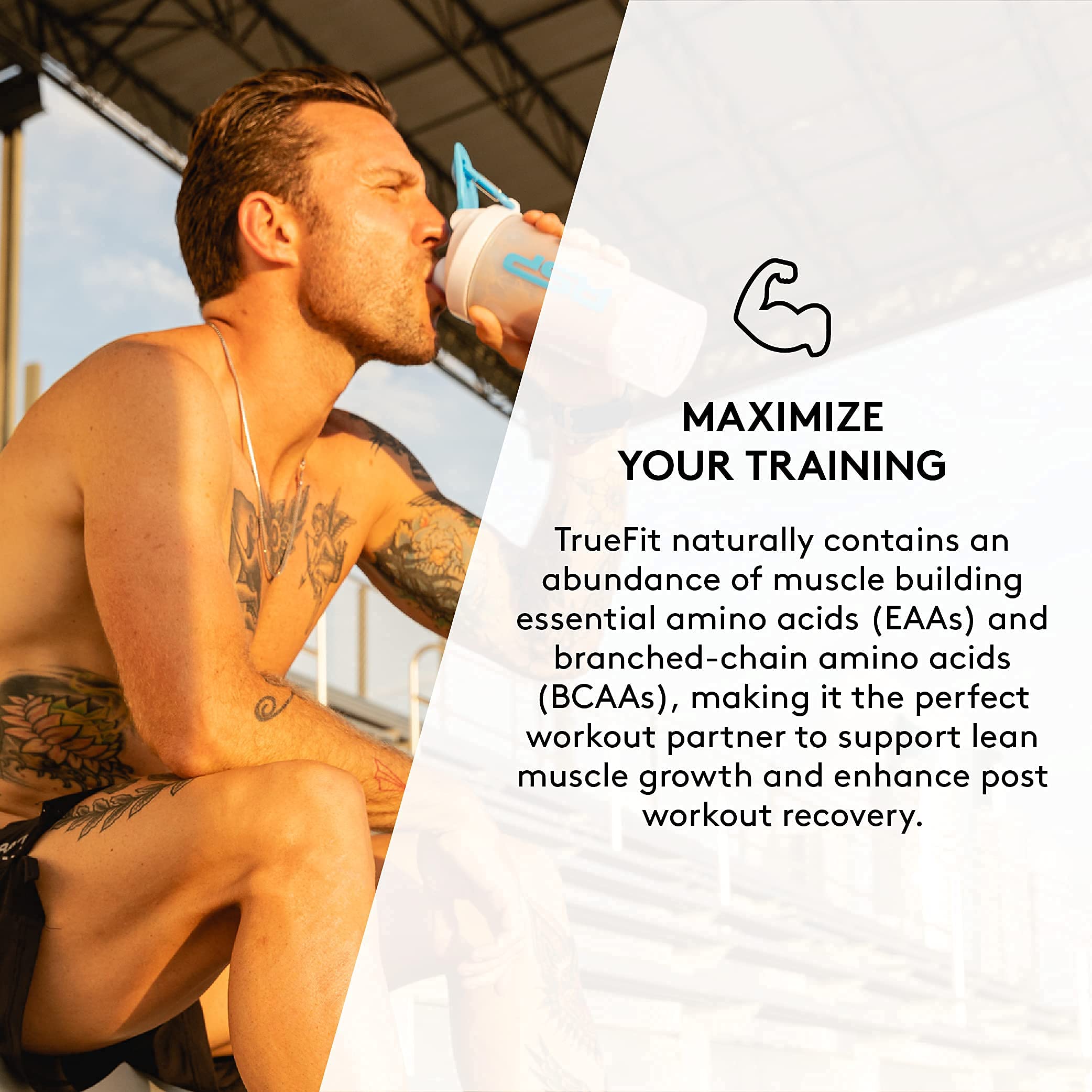 TrueFit Meal Replacement Shake Protein Powder, Grass Fed Whey + Organic Fruits RSP NUTRITION buy supplements canada