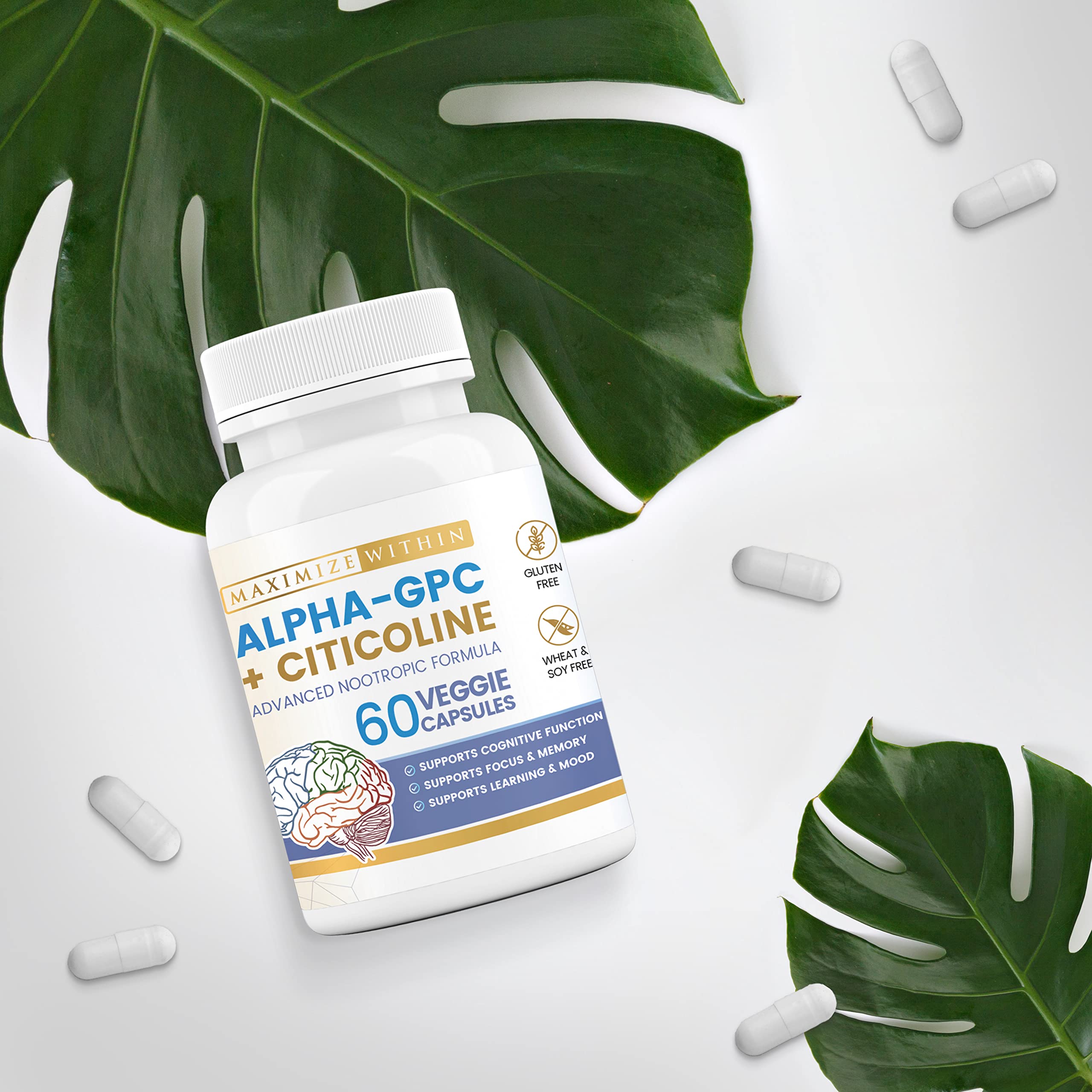 Maximize Within Alpha GPC + Citicoline 60 Ct, 1600mg Concentrated Formula- 99%+Highly Purified & Bioavailable Nootropic-Cognitive Enhancer, Supports Memory, Brain Function, Boosts Focus, Mood & Energy Maximize Within buy supplements canada
