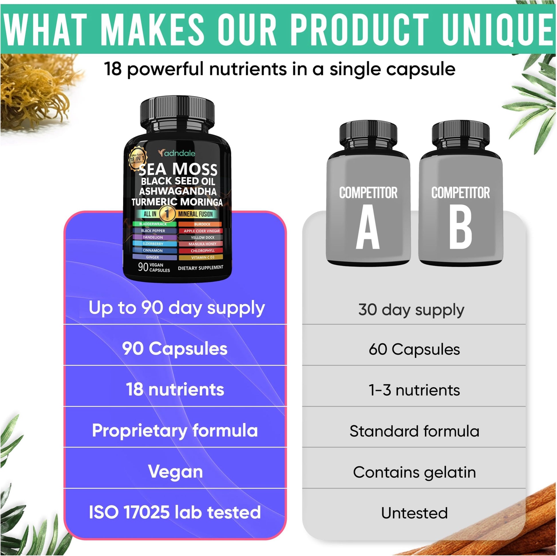 Adndale Sea Moss Capsules - Sea Moss Blend with Ashwagandha, Turmeric & Black Seed Oil - 180 Count Adndale buy supplements canada