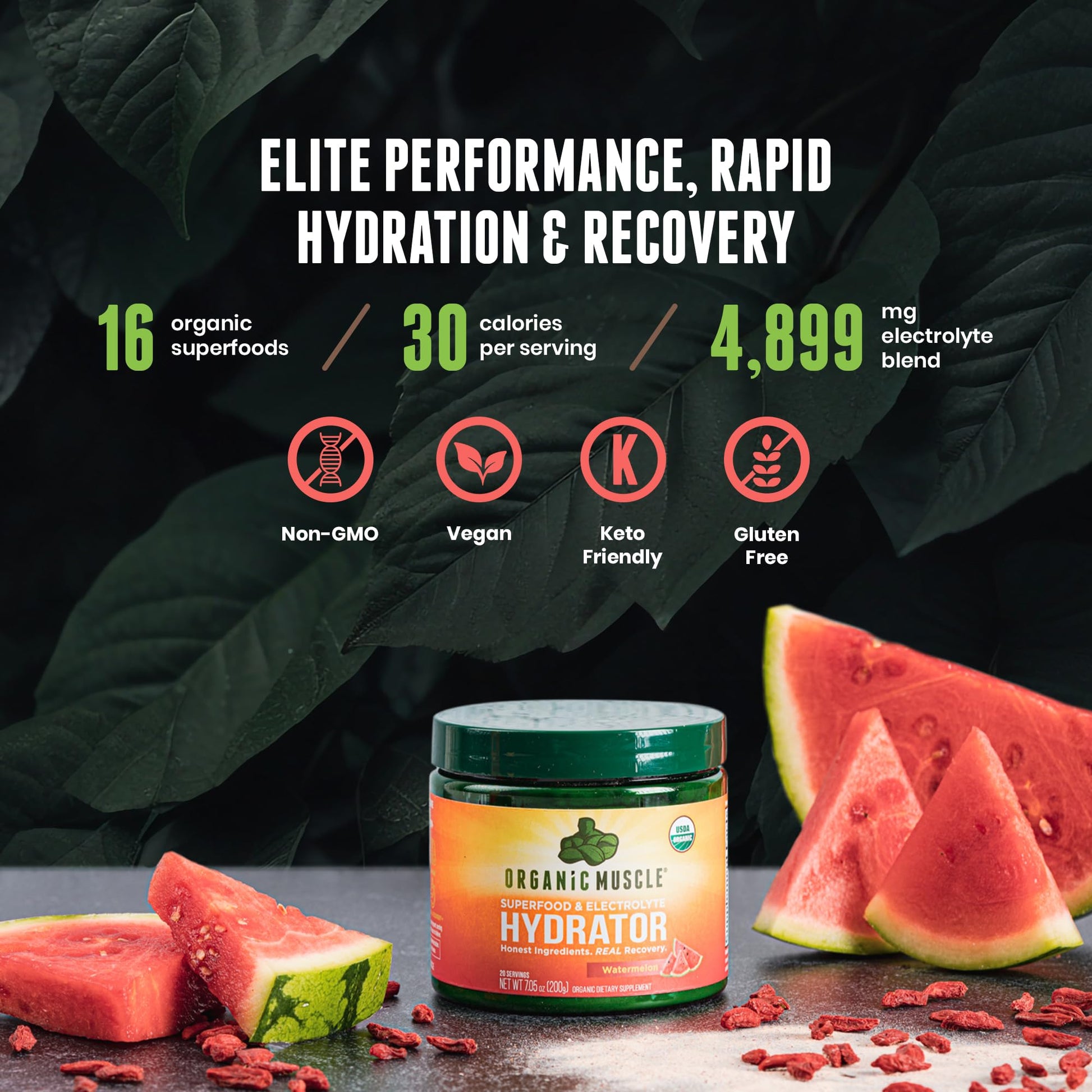 Organic Muscle Hydrator | Natural Electrolyte Powder for Peak Performance & Recovery - Watermelon Flavor, 20 Servings Organic Muscle buy supplements canada
