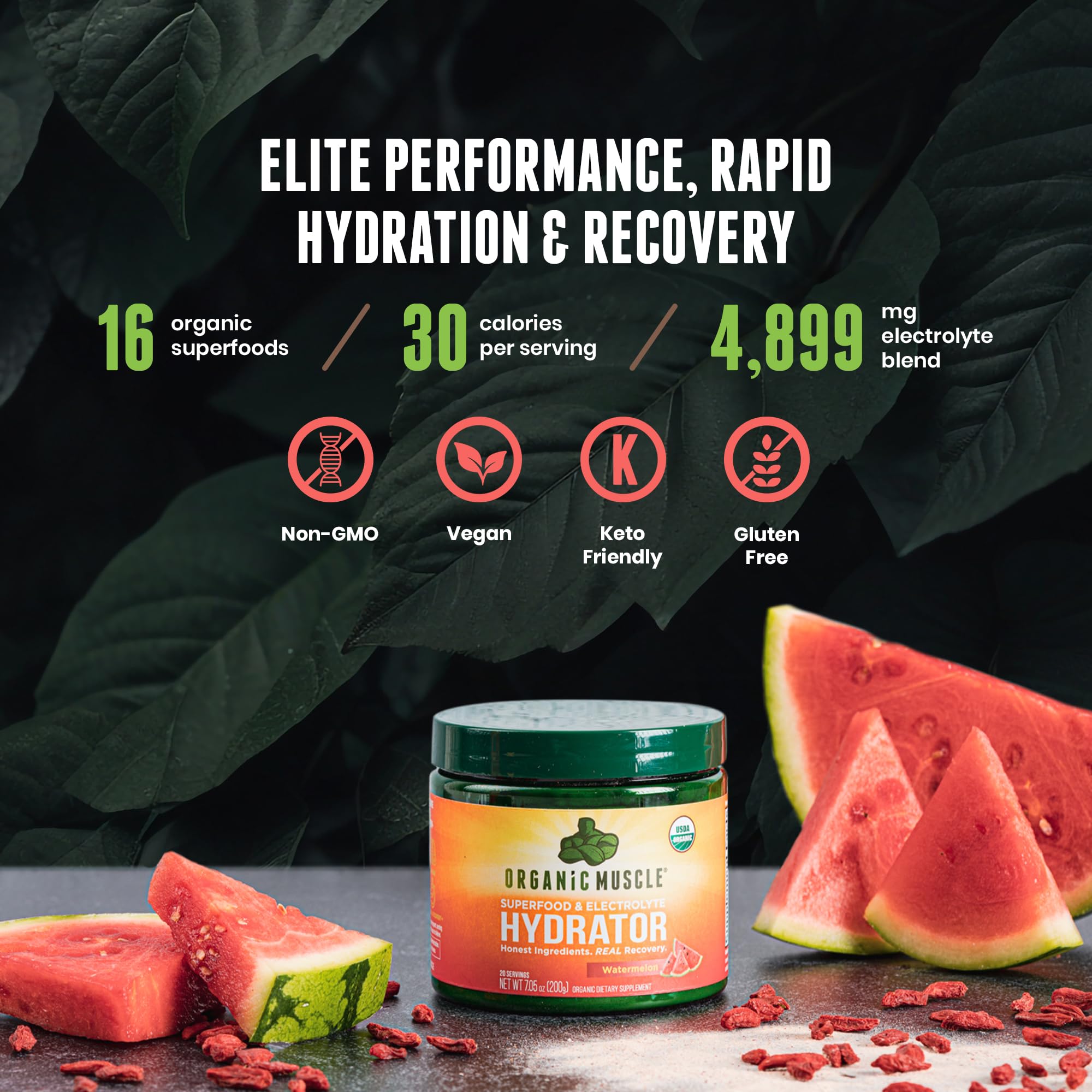 Organic Muscle Hydrator | Natural Electrolyte Powder for Peak Performance & Recovery - Watermelon Flavor, 20 Servings Organic Muscle buy supplements canada