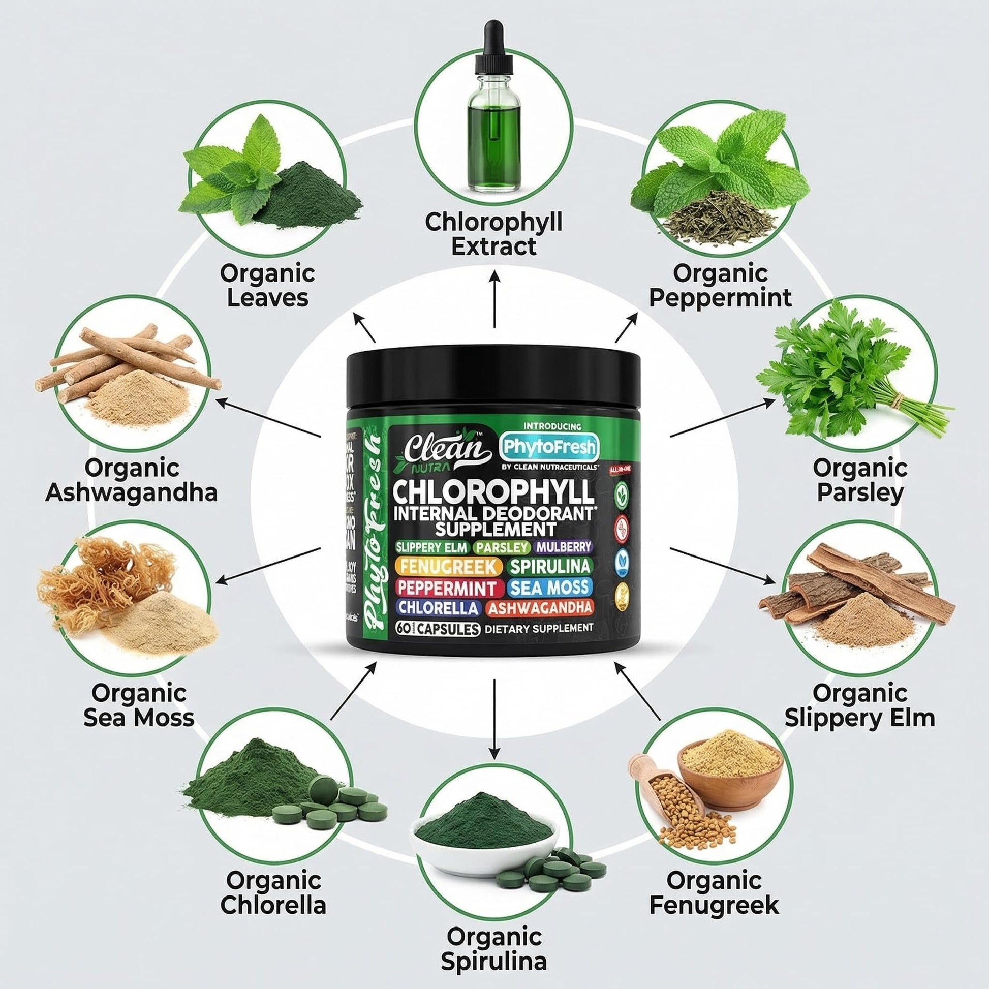 Clean Nutra Chlorophyll Capsules Supplement Internal Deodorant Peppermint, Sea Moss, Parsley, Chlorella, Spirulina, Slippery Elm, Ashwagandha, PhytoFresh Greens Detox Pills Clean Nutraceuticals buy supplements canada