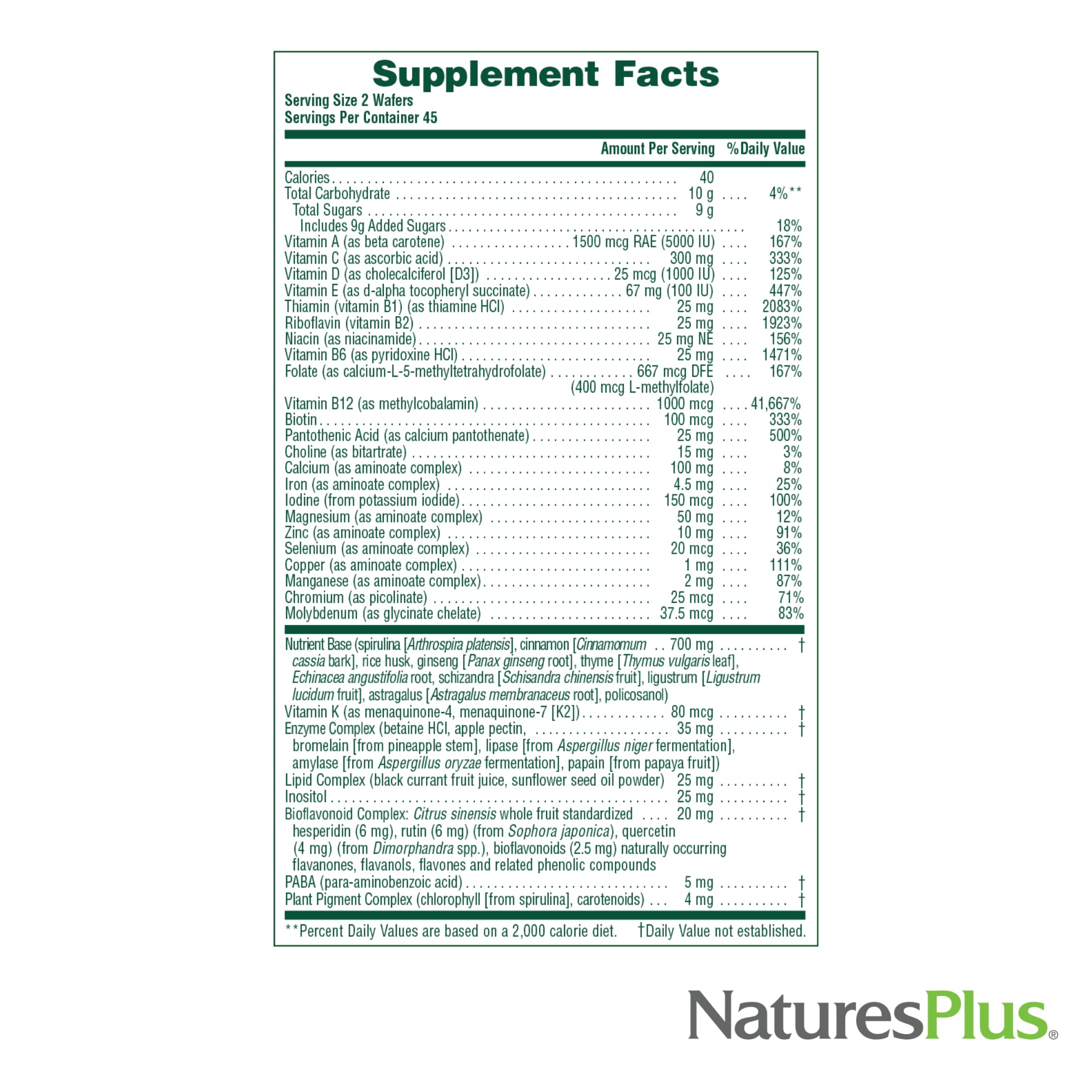 Natures Plus Source of Life Adult’s Chewable, Apple Cinnamon - 90 Wafers, Pack of 2 - Multi-Vitamin & Mineral Supplement - Gluten Free, Vegetarian - 90 Total Servings NaturesPlus buy supplements canada