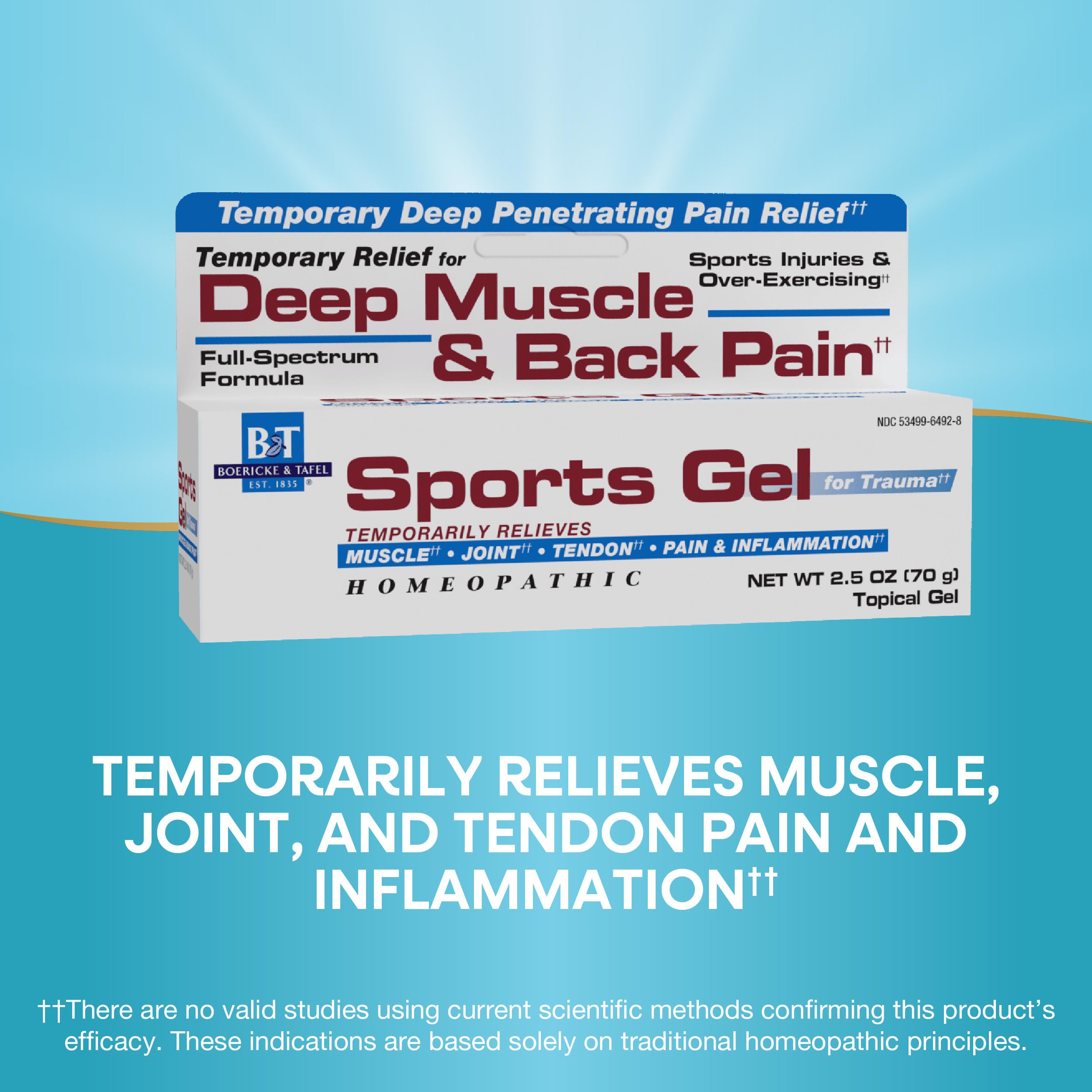 Nature's Way Boericke & Tafel Sports Gel, Relief for Deep Muscle, Joint, Tendon, & Back Pain and Inflammation, Homeopathic, 2.5 oz Nature's Way buy supplements canada