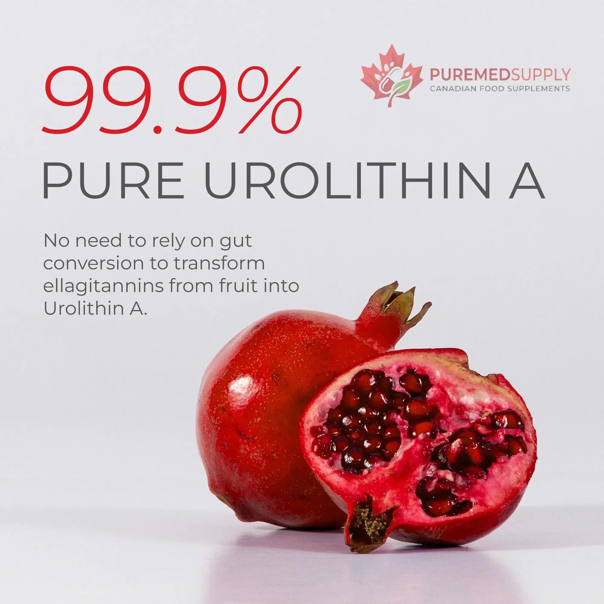 Neurogan Urolithin A PRO Capsules - 1000mg, 120 Ct - Advanced Cellular Health, Post Biotic Supplements - Ultra Micronized Urolithin A Supplement, Sourced from Pomegranate Extract Neurogan buy supplements canada