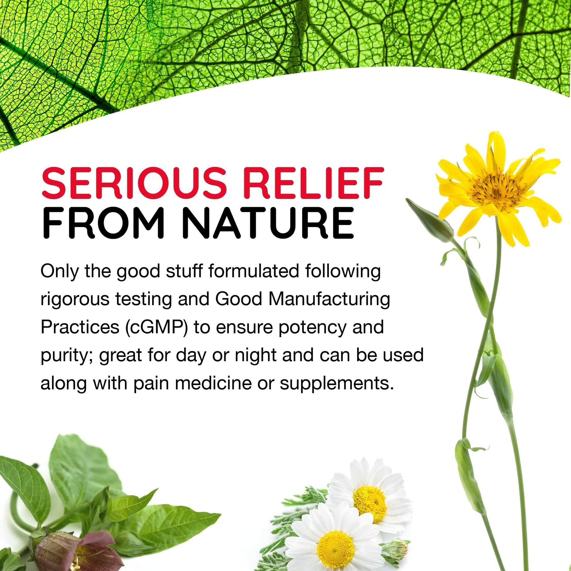 MediNatura T-Relief Pain - Arnica Medication for Naturally Soothing Body Aches - Supports Muscle, Joint & Back Relief - Chewable Tablets - Plant-Based Tablets - Non-Addictive - 100 Count - 2 Pack MediNatura buy supplements canada