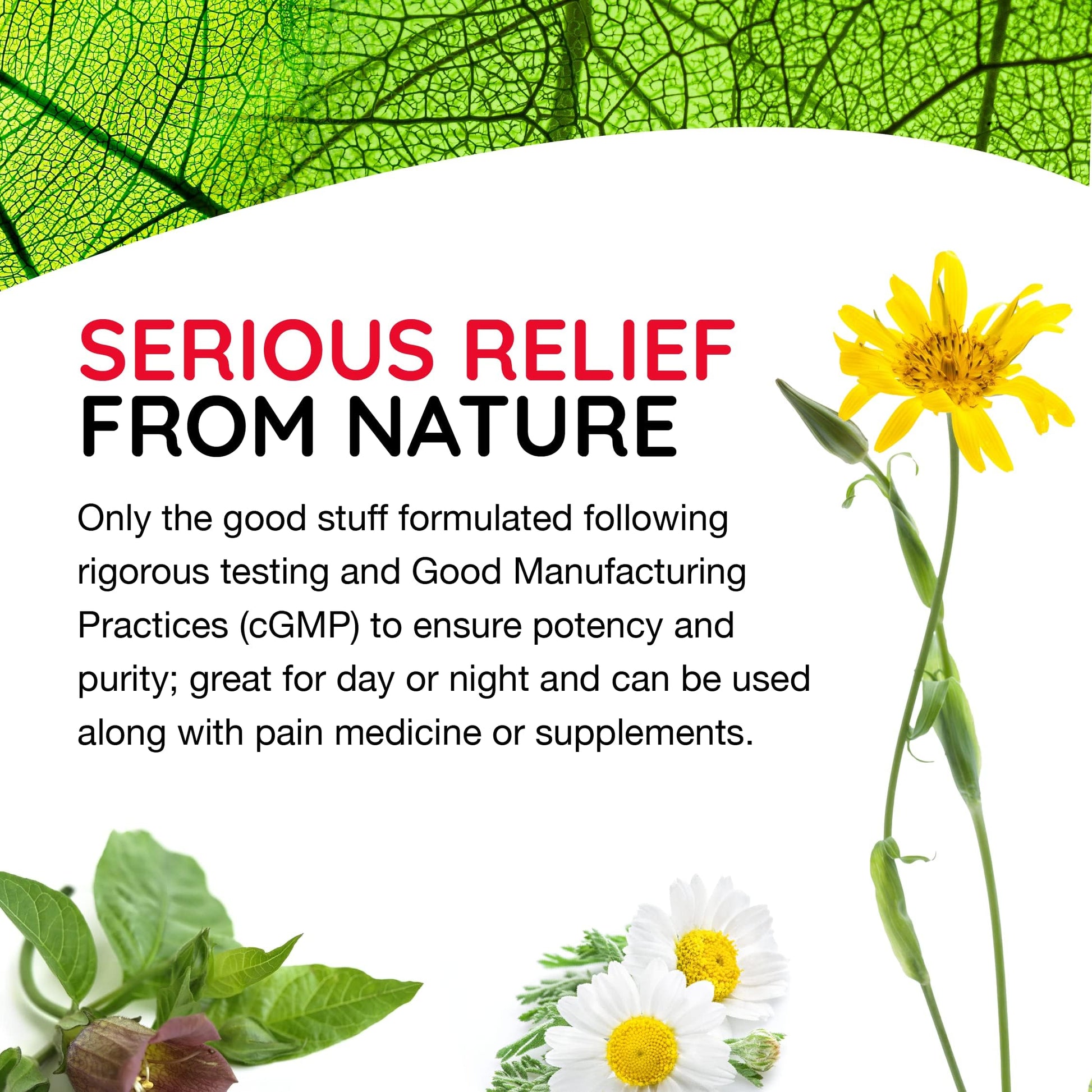 MediNatura T-Relief Extra Strength Discomfort Relief Gel-Extra-Strength Arnica Gel for Fast-Acting Relief-Supports Mobility & Body Aches-Homeopathic & Plant-Based-Paraben-Free-Non-Sticky - 2 oz MediNatura buy supplements canada