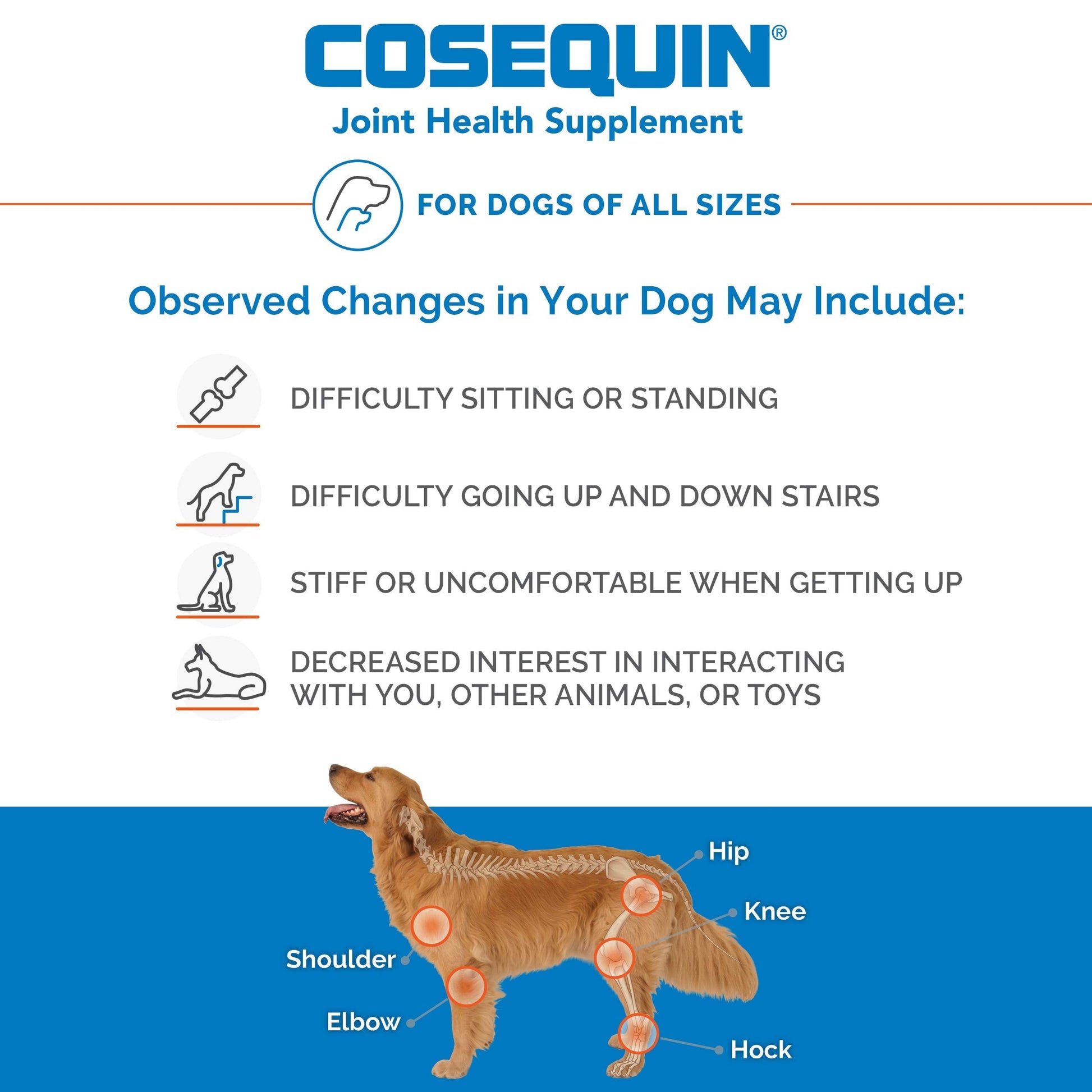 Nutramax Laboratories Cosequin Maximum Strength Joint Health Supplement for Dogs Nutramax Laboratories buy supplements canada