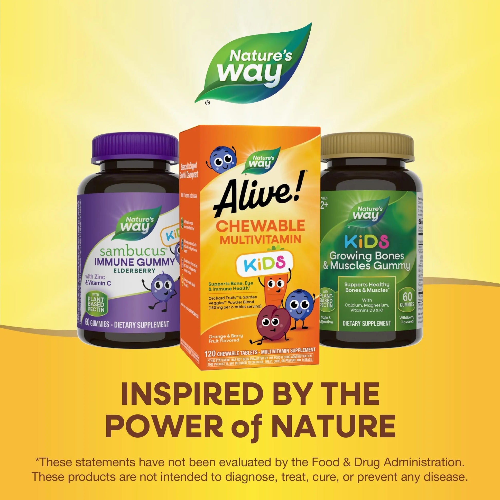Alive! Children's Multi-Vitamin Chewable - 120 Chewable Tablets by Nature's Way Nature's Way buy supplements canada