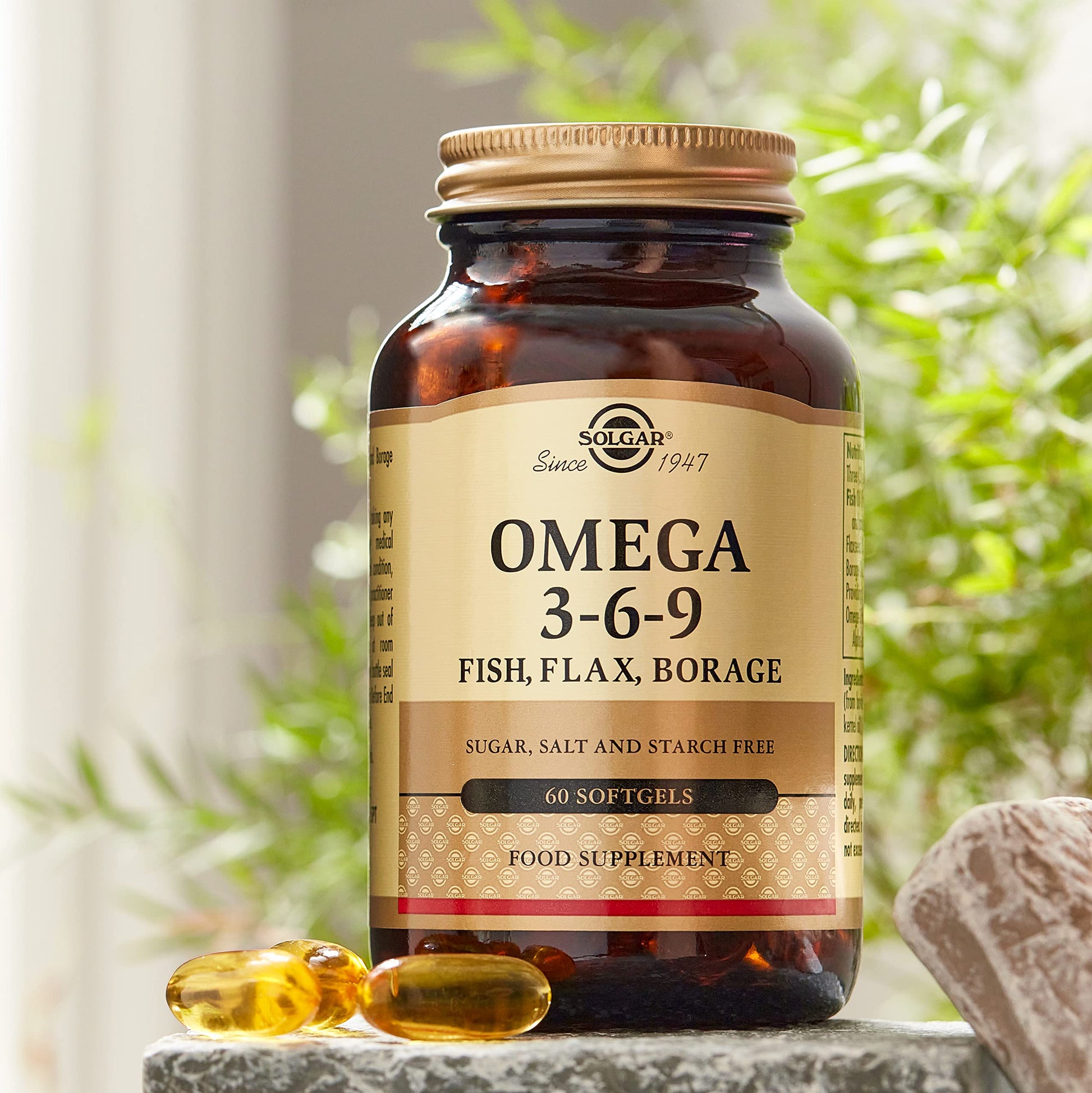 EFA 1300mg Omega 3-6-9 Solgar 60 Softgel Solgar buy supplements canada