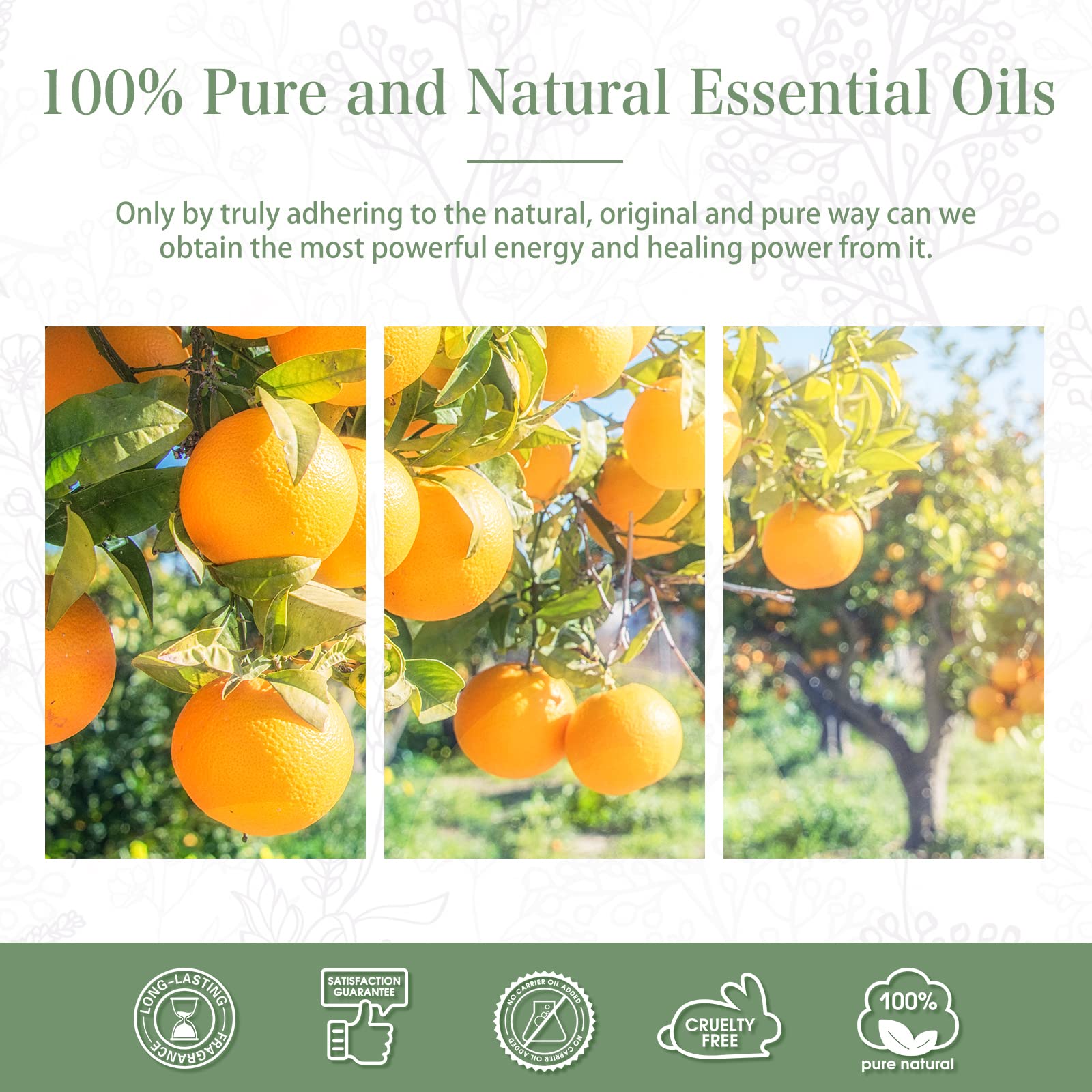 PHATOIL Sweet Orange Essential Oil 100ML, Pure Premium Grade Sweet Orange Essential PHATOIL buy supplements canada