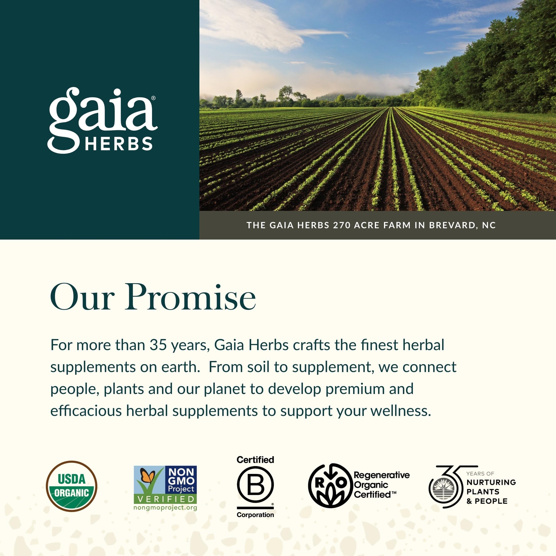 Gaia Herbs Ginger-Beet Postbiotic - Supplement for Gut & Heart Health Support* - Made with Fermented Beets & Ginger - Free from Dairy, Soy & Gluten - 60 Vegan Liquid Phyto-Caps (30 Servings) Gaia Herbs buy supplements canada