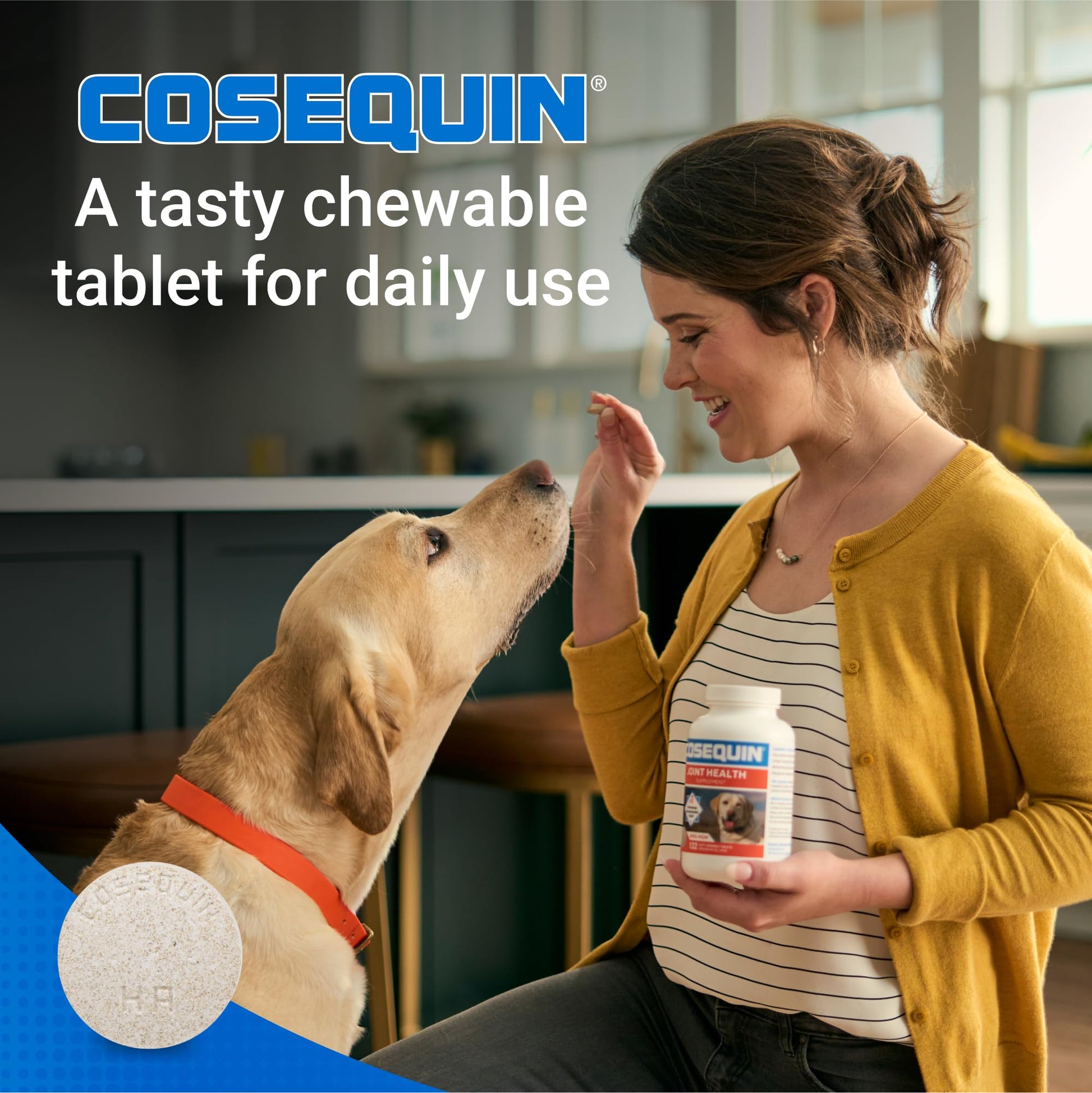 Nutramax Cosequin for Dogs Joint Health Supplement, Contains Glucosamine for Dogs, Plus Chondroitin, MSM and HA, Supports Healthy Joints, Chewable Tablets, 75 Count Nutramax Laboratories buy supplements canada