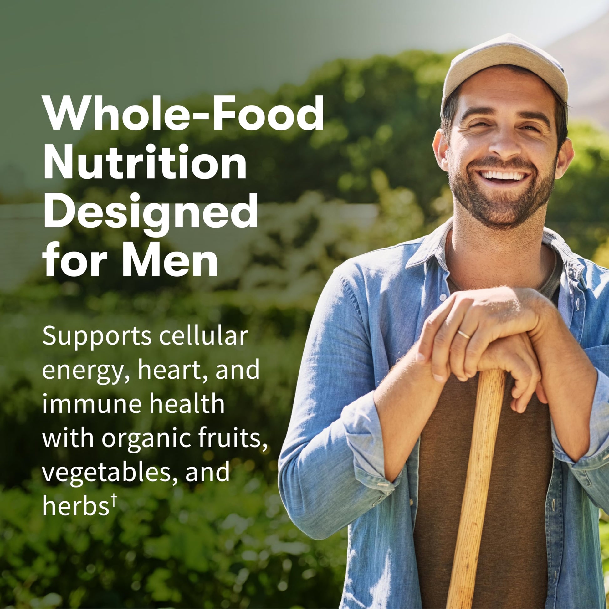 Garden of Life Once Daily Whole Food Multivitamin for Men, Organic Mens Vitamins & Minerals, Vitamin C, Zinc, Vegan, for Health & Well-Being, 60 Tablets Garden of Life buy supplements canada