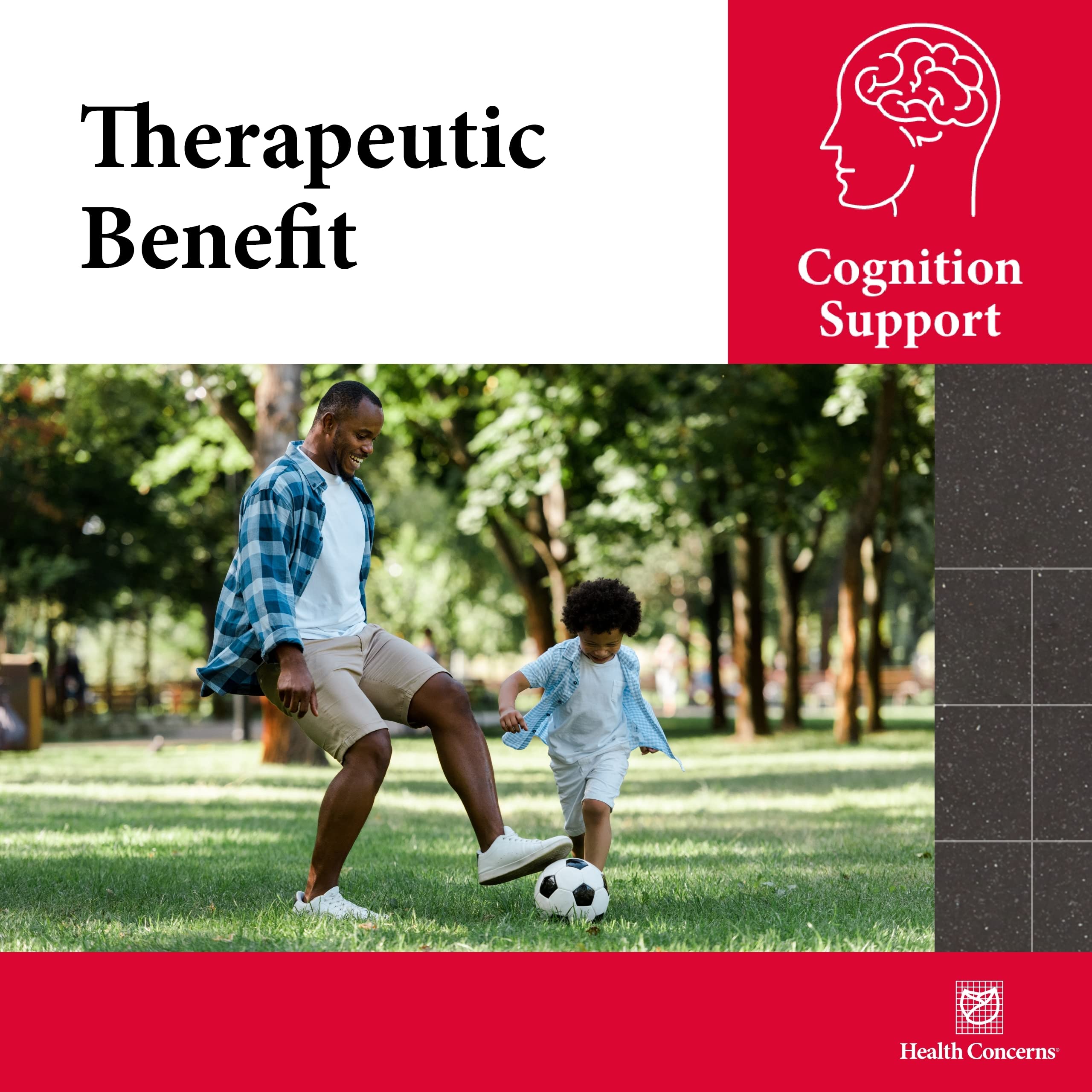 Health Concerns Cogni-Spark – Brain Support for Memory, Focus, and Mental Clarity – Alpha-GPC Choline Supplement for Cognition, Nerve Function & Longevity Health Concerns buy supplements canada