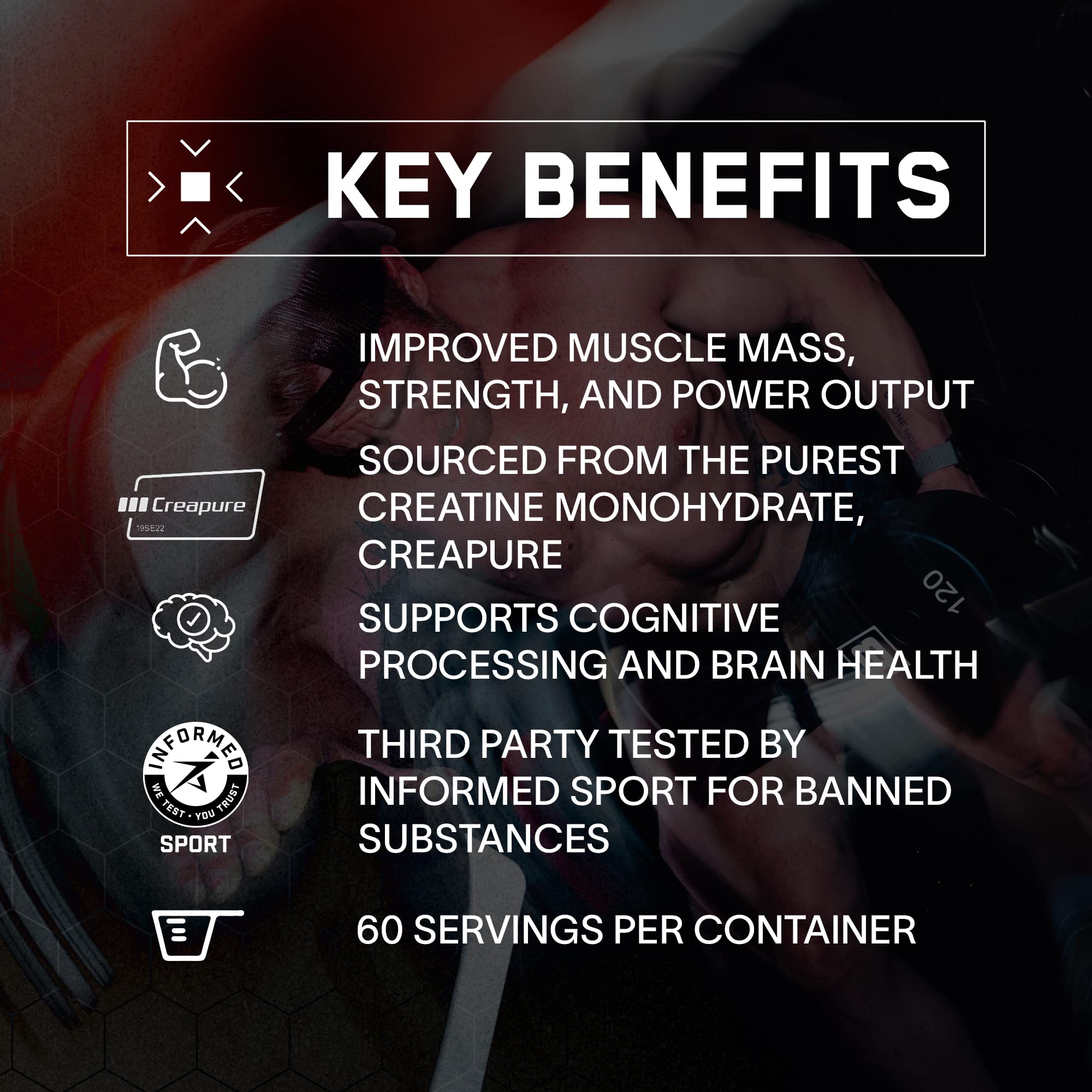 BARE PERFORMANCE NUTRITION, BPN Pure Creatine Monohydrate Powder by Creapure, 5g of Creatine per Serving, Supports Muscle Growth BARE PERFORMANCE NUTRITION buy supplements canada