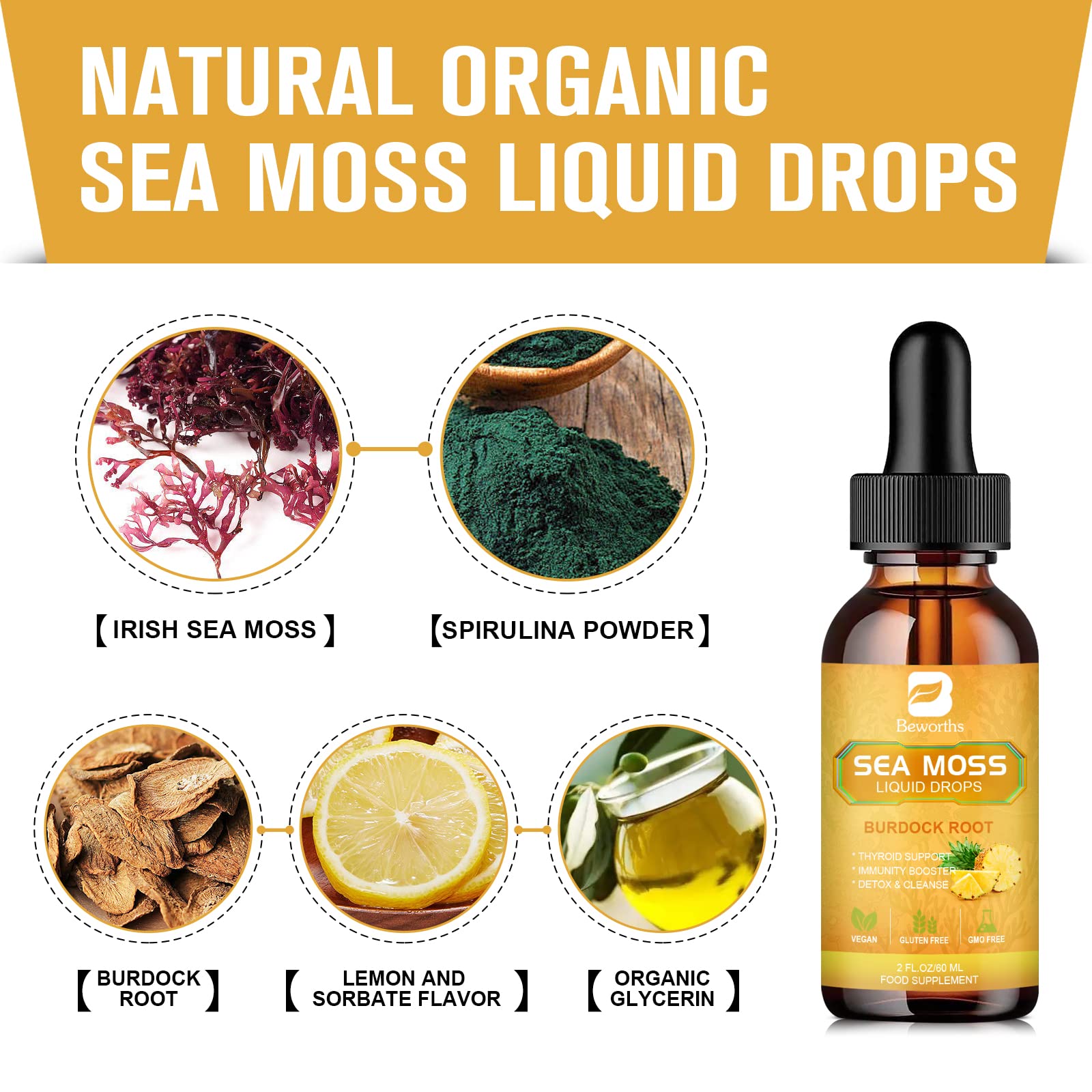 B BEWORTHS Sea Moss Liquid Drops - Organic Irish Sea Moss Gel with Burdock Root B BEWORTHS buy supplements canada