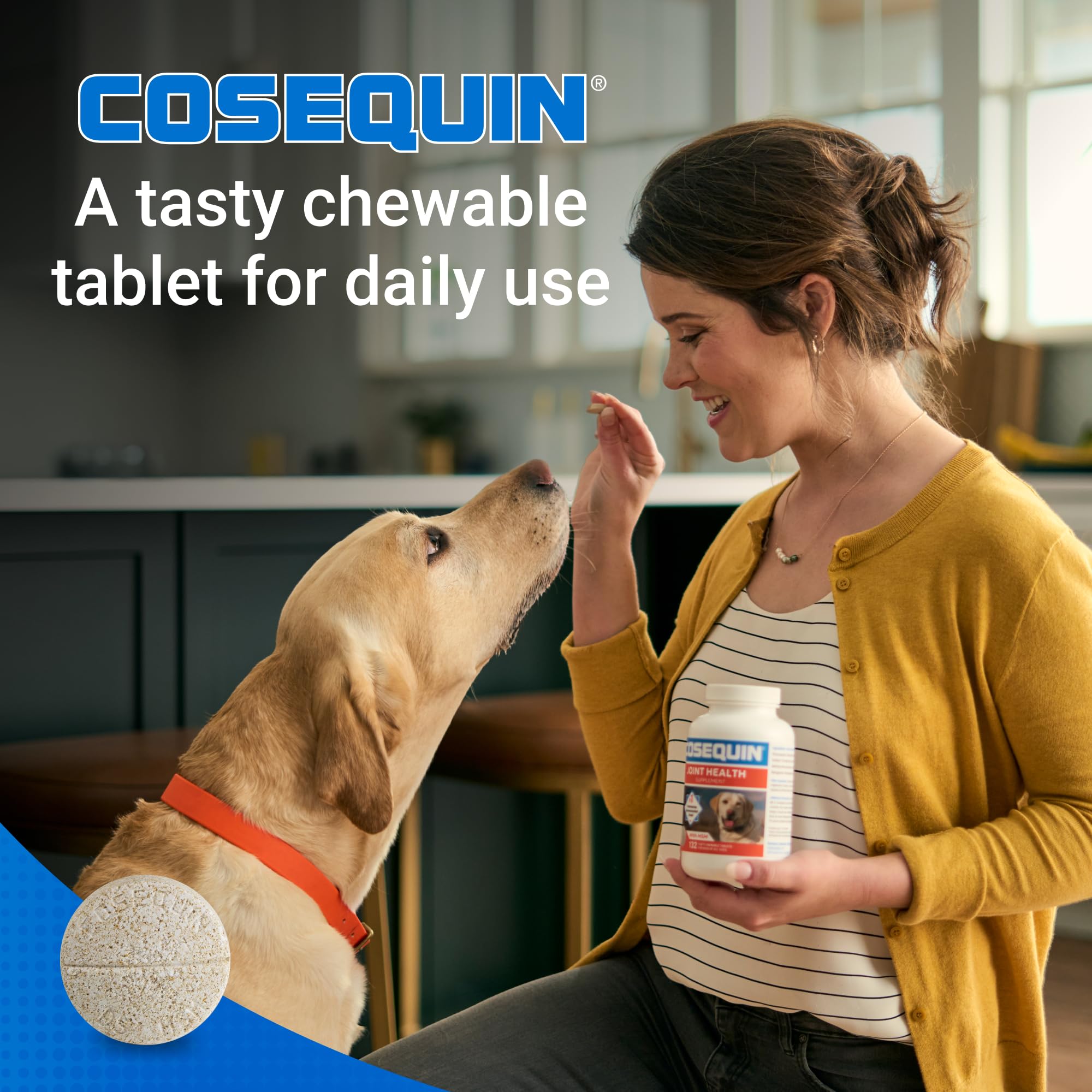 Nutramax Laboratories Cosequin Maximum Strength Joint Health Supplement for Dogs - With Glucosamine, Chondroitin, and MSM, 2 Pack, 264 Total Chewable Tablets Nutramax Laboratories buy supplements canada