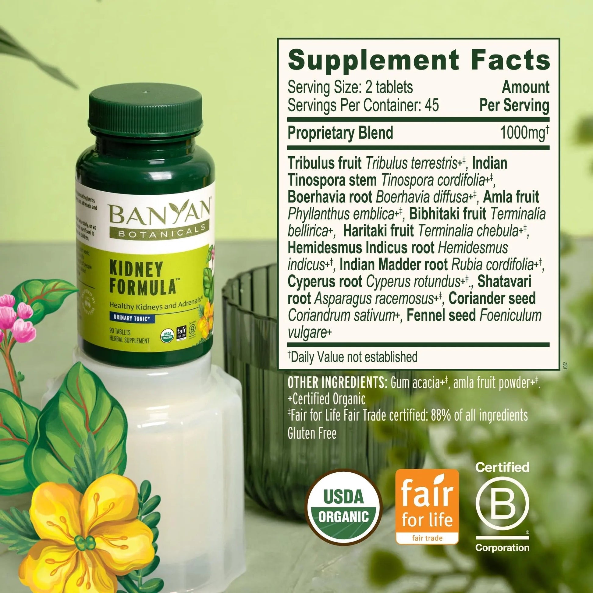 Banyan Botanicals Organic Kidney Formula–Urinary Tract Support & Detox Supplement–Gokshura & Punarnava for Fluid Balance & Systemic Cleansing–Cooling Genitourinary Tonic-90 Tablets-USDA Organic Banyan Botanicals buy supplements canada