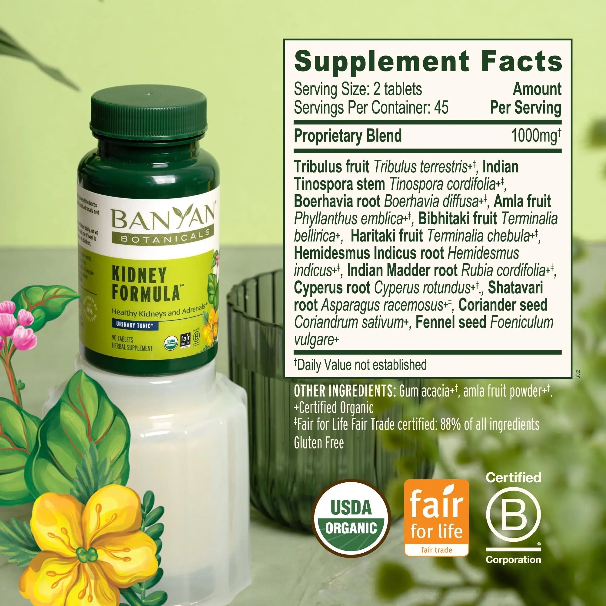 Banyan Botanicals Organic Kidney Formula–Urinary Tract Support & Detox Supplement–Gokshura & Punarnava for Fluid Balance & Systemic Cleansing–Cooling Genitourinary Tonic-90 Tablets-USDA Organic Banyan Botanicals buy supplements canada