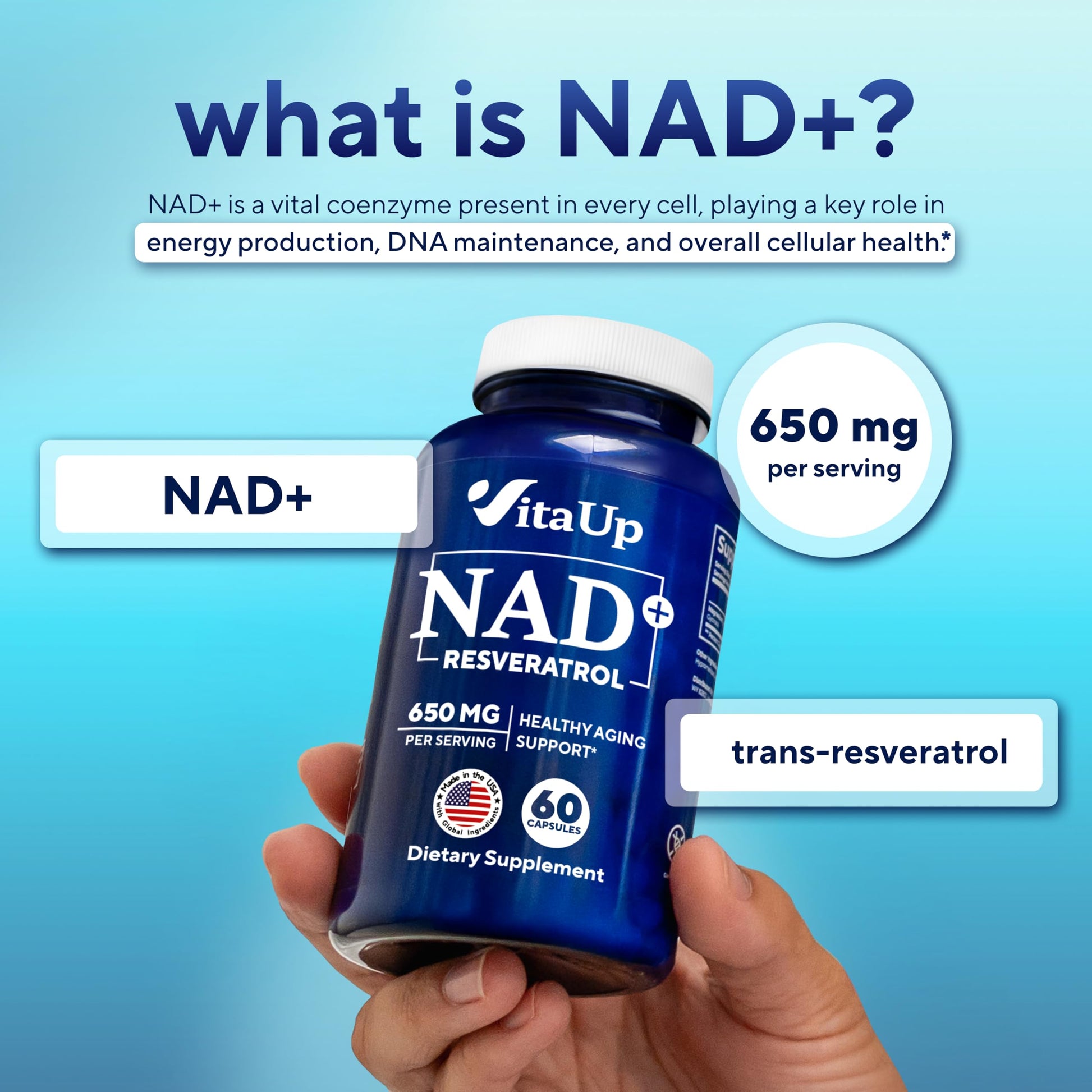 VitaUp NAD+ Resveratrol Supplement - USA Made Trans Resveratrol NAD Supplement 650mg - Nicotinamide Adenine Dinucleotide Capsules for Healthy Aging, Energy & Focus Support - 60 Count VitaUp buy supplements canada