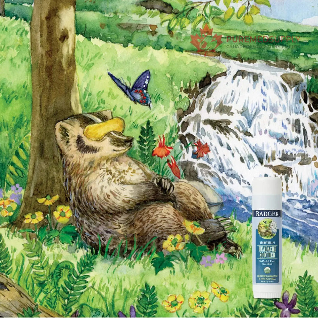 Badger Headache Soother - .6 oz Stick Badger buy supplements canada