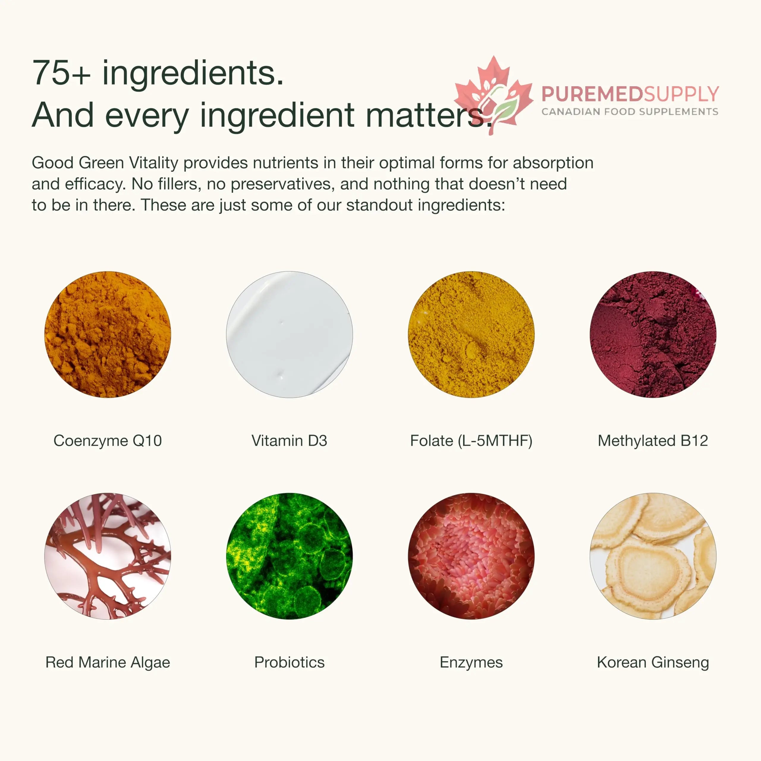 Nuzest Greens Powder Good Green Vitality – Vitamins, Minerals & Superfoods – Vegan Multivitamin Supplement (300g) Nuzest buy supplements canada