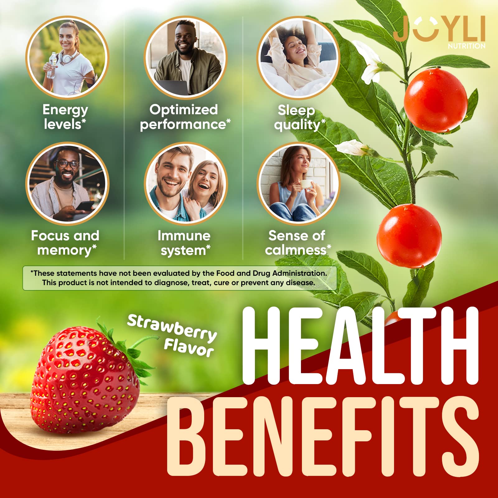 Ashwagandha Gummies for Women & Men - Natural Calm Gummies with Ashwagandha JOYLI Nutrition buy supplements canada